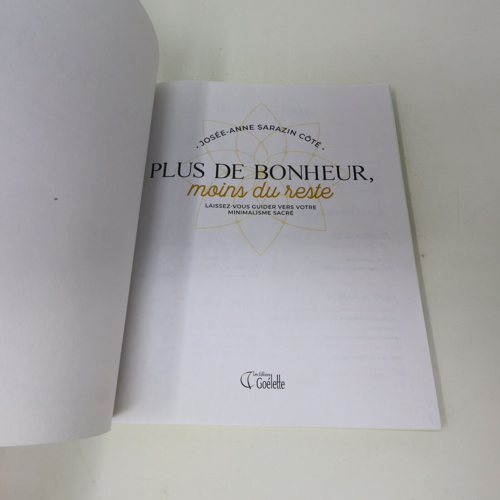 2019 Plus de Bonheur Moins du Reste Josée-Anne Sarazin-Côté Minimalisme Goélette