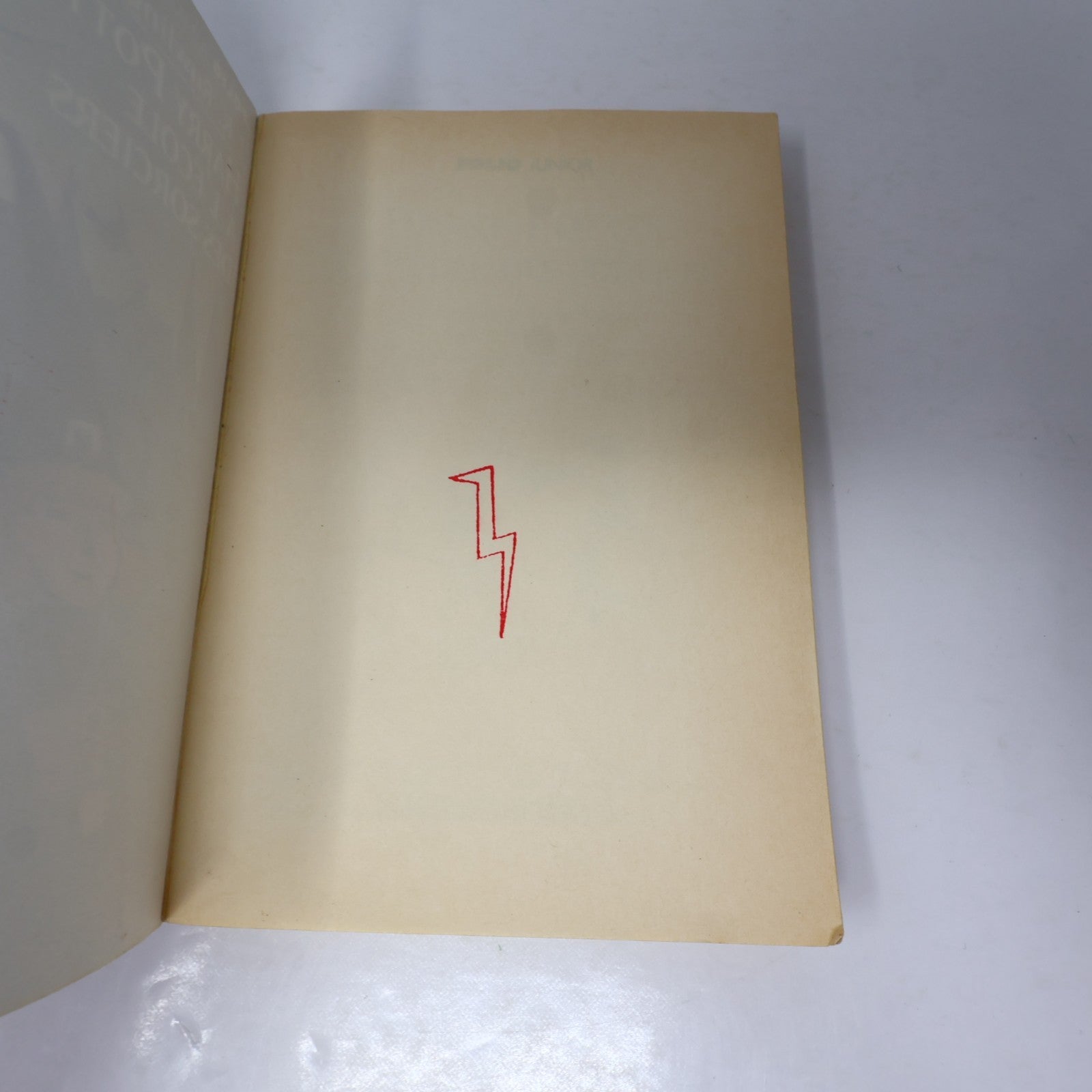 Harry Potter à l'École des Sorciers 1ère Édition Illustrée octobre 1999 Rowling