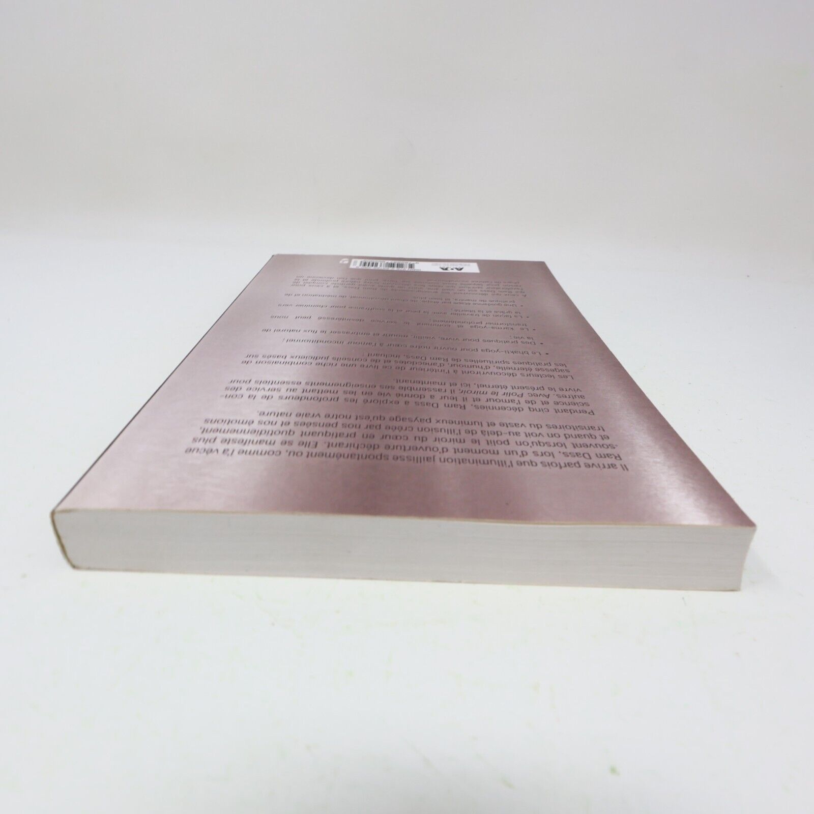 2018 Polir le Miroir Ram Dass Ada Français Paperback Spiritualité Philosophie PB