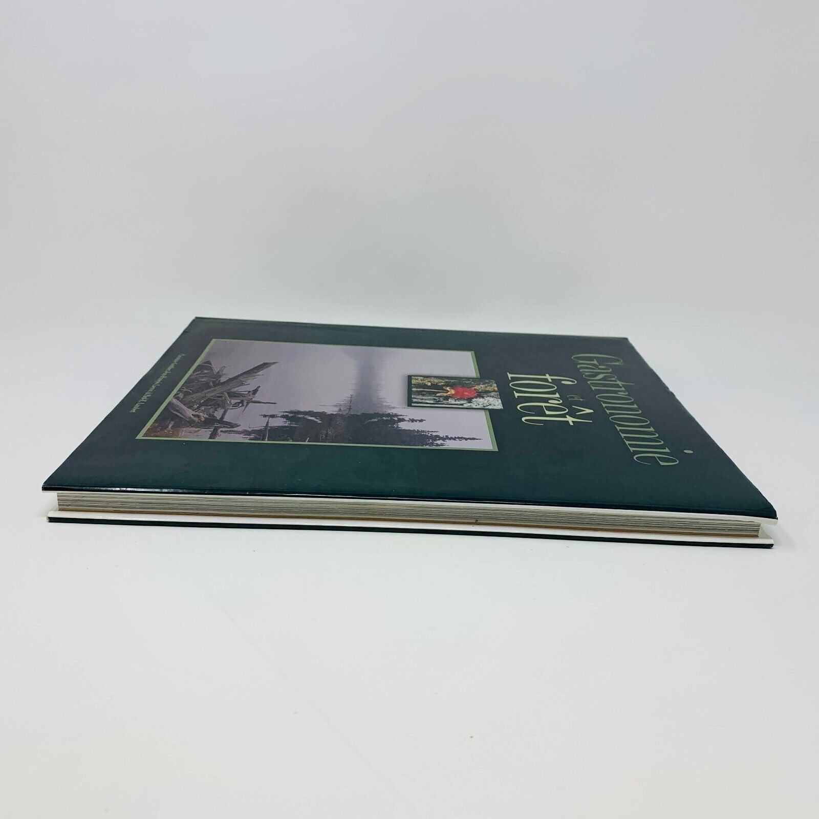 2003 Gastronomie en Forêt Gesti-Faune Livre Recettes Cuisine en Français French