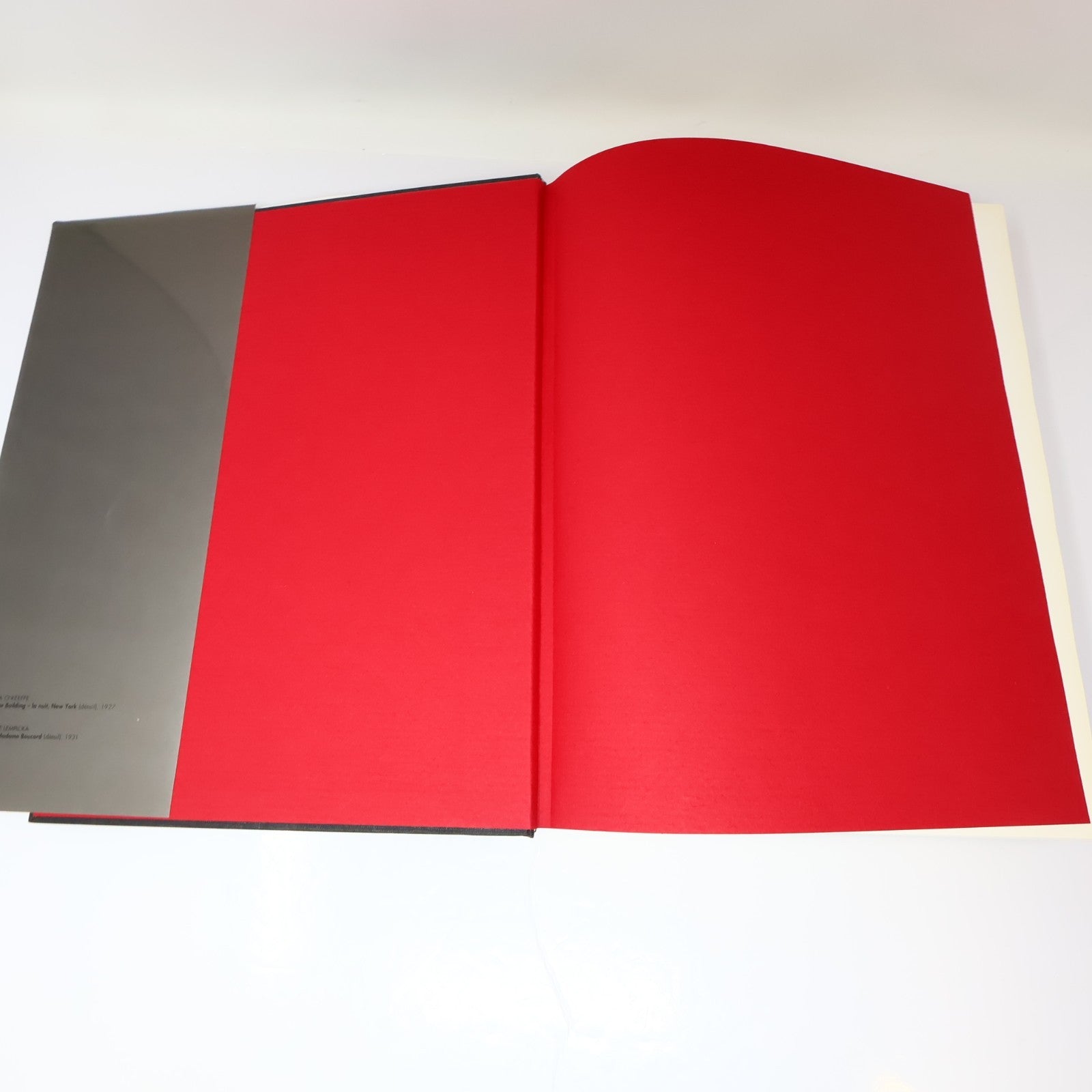 Les Années 20 L'âge des Métropoles MBAM Catalogue Exposition 1991 HC Français