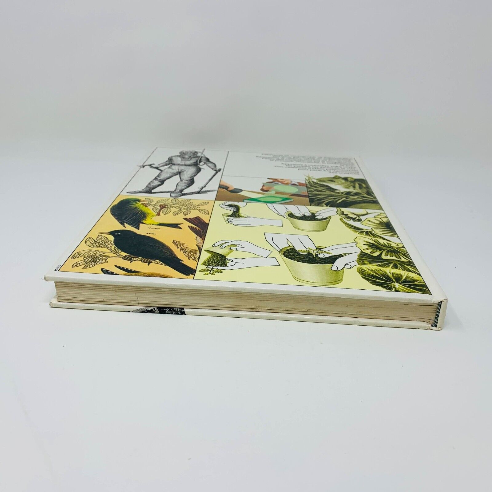 1980 L'Atelier du Jeune Scientifique en Français Family Scientist French HC 80s
