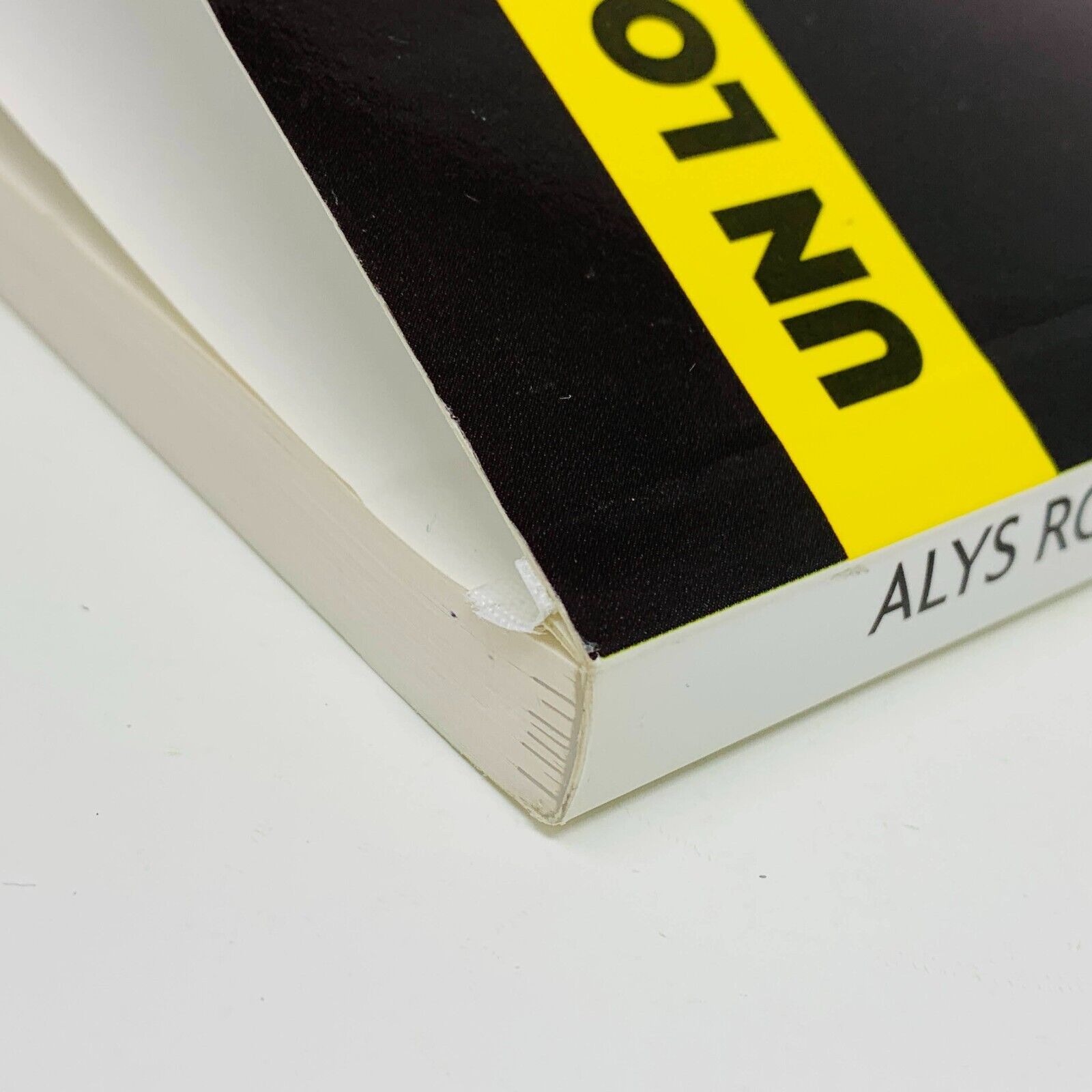 2004 Alys Robi Un Long Cri dans la Nuit Livre Edimag Biographie Chanteuse French