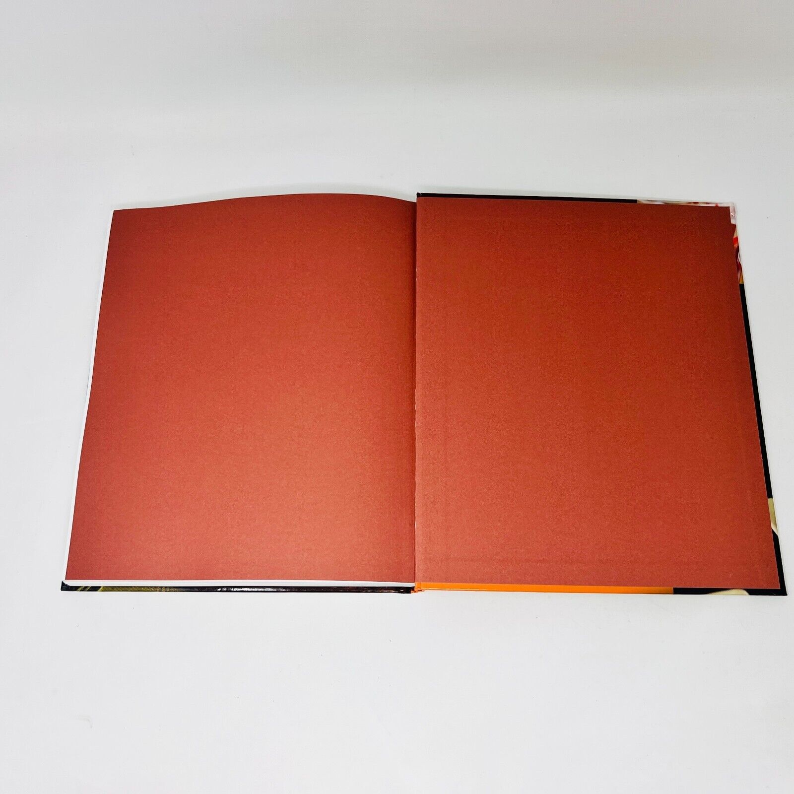 Lot de 2 Livres de Recettes Sans Gluten 21 Jours de Menus/Grand Livre Français