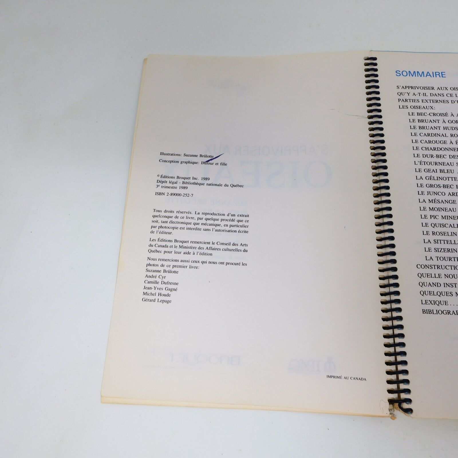 1989 S'Appivoiser aux Oiseaux Suzanne Brûlotte Susy le Brun La Collection Plume