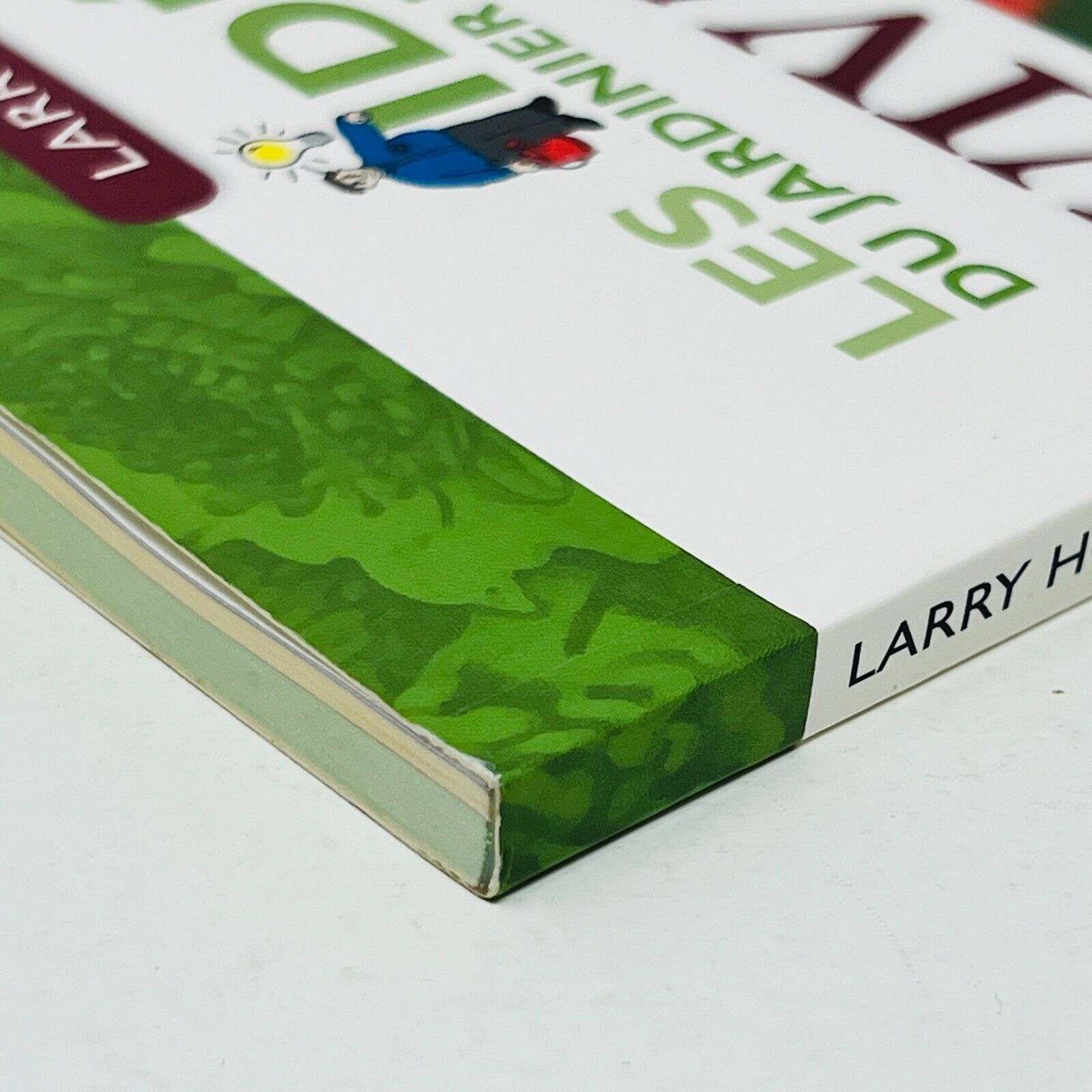 2007 Vivaces Les Idées du Jardinier Paresseux de Larry Hodgson Livre Broquet