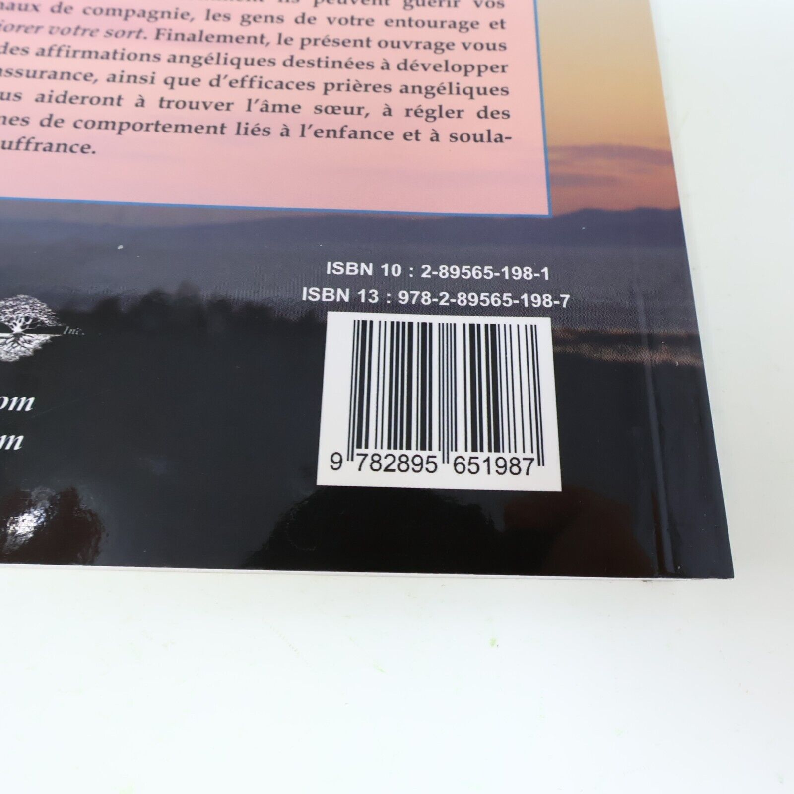 2005 Guérir avec l'Aide des Anges Doreen Virtue Ada Français Paperback Livre PB