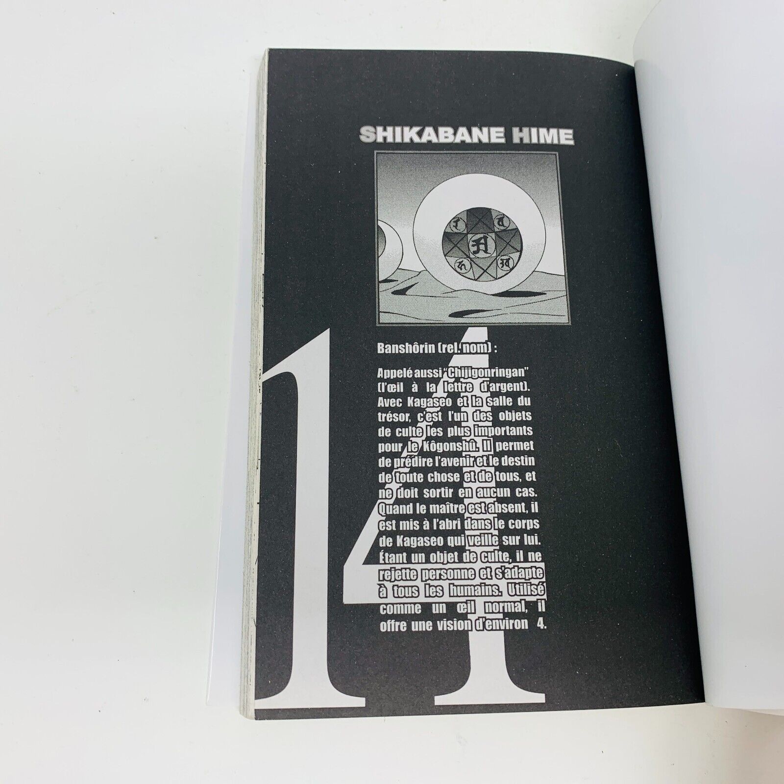 2013 Shikabane Hime Volume 14 Kazé Manga Shonen Up! Français Yoshiichi Akahito