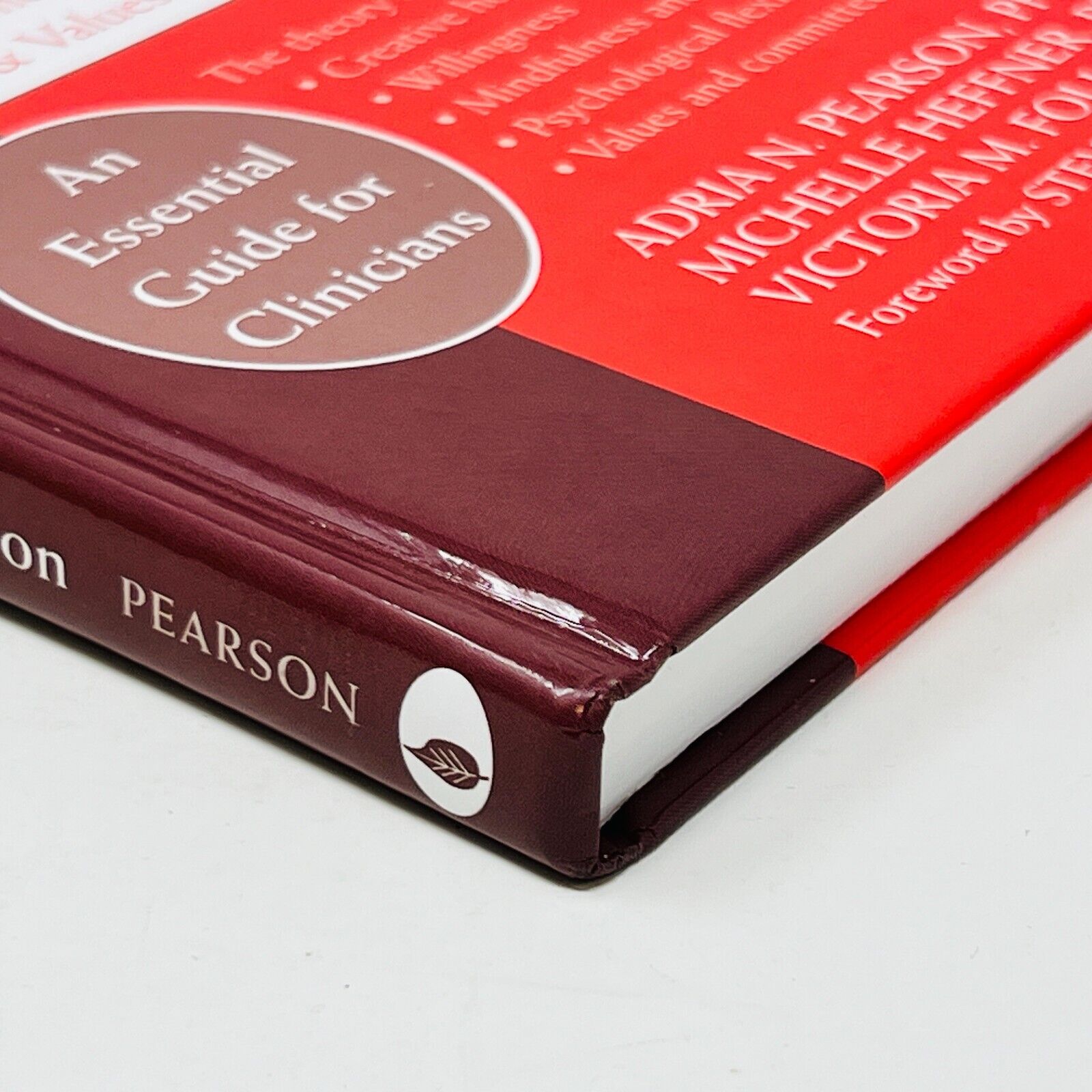 2010 Acceptance and Commitment Therapy for Body Image Dissatisfaction Hardcover