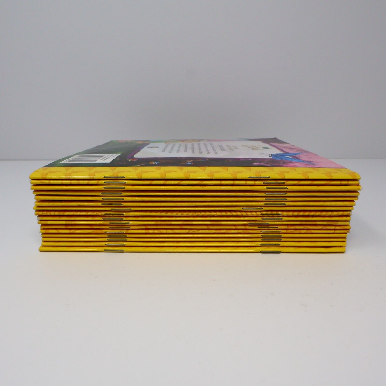 Lot 16 Livres Phidal Jeunes Enfants Princesses Mickey Contes Français French PB