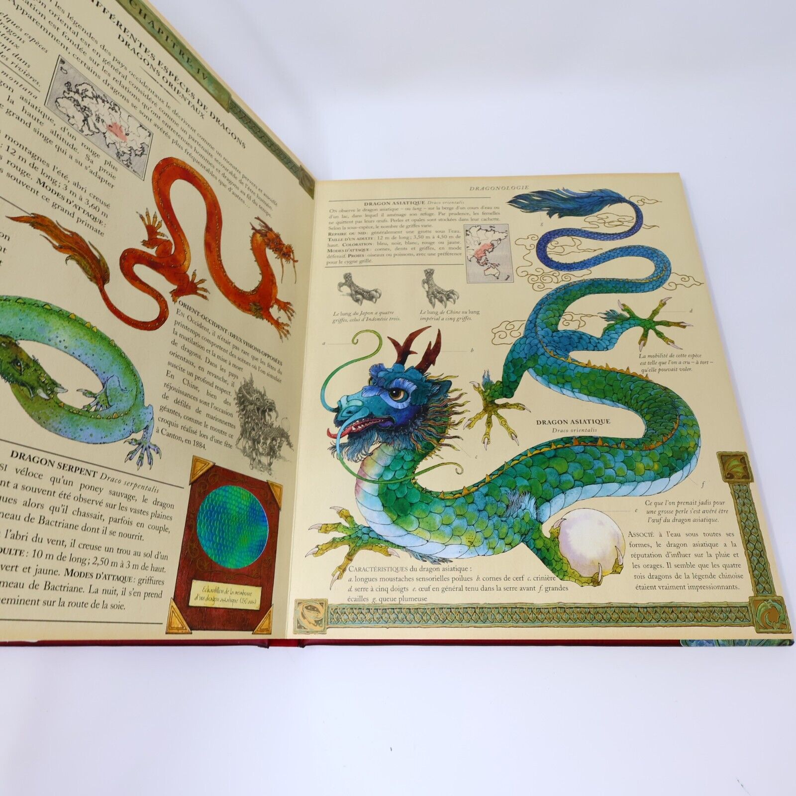 Lot 3 Livres Dragonologie/Dragon des Glaces/Piratologie Dugald A. Steer Français