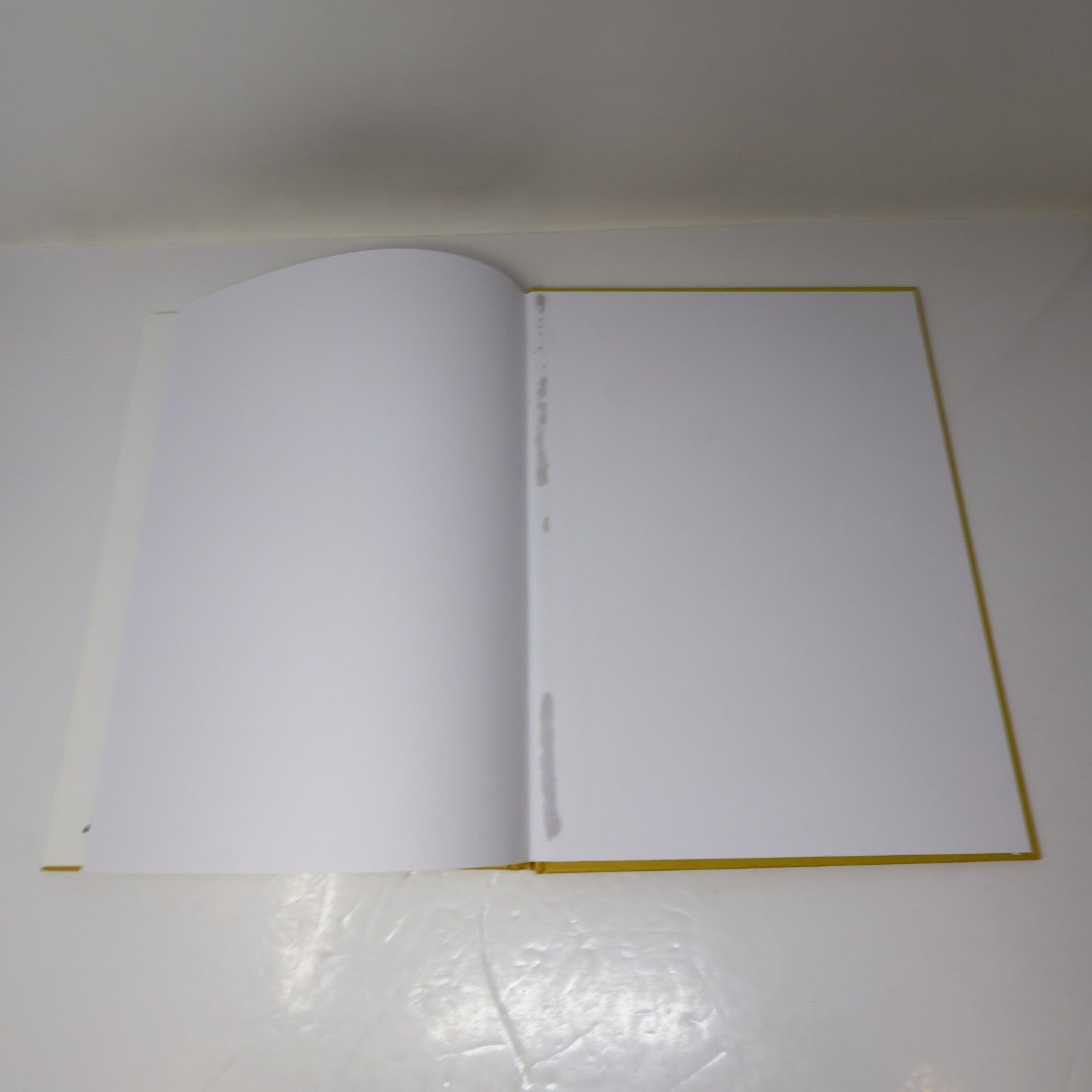 Dragan Art Monographie d'Artiste 1995 HC Galerie Jeannine Blais Hardcover Book