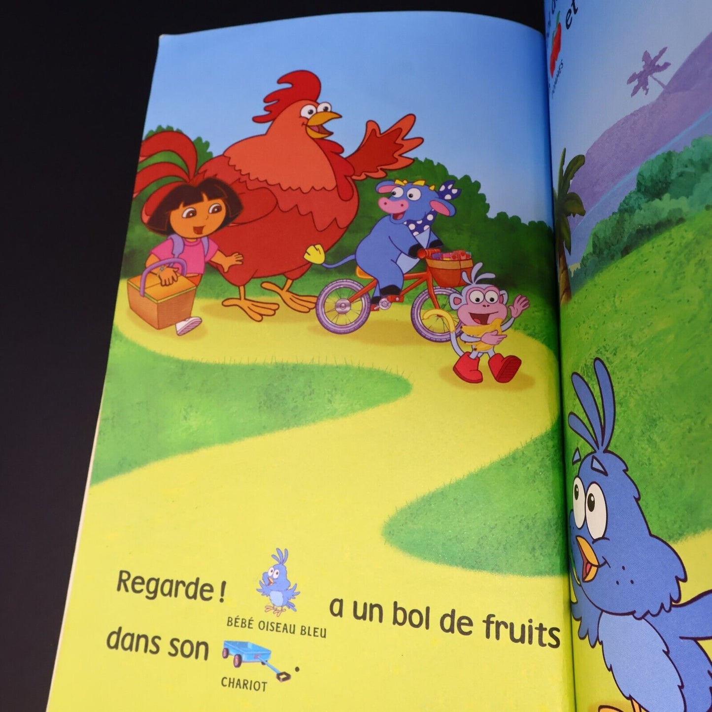 Lot 6 Livres Dora l'Exploratrice Français French Enfants Le Pique-Nique de Dora