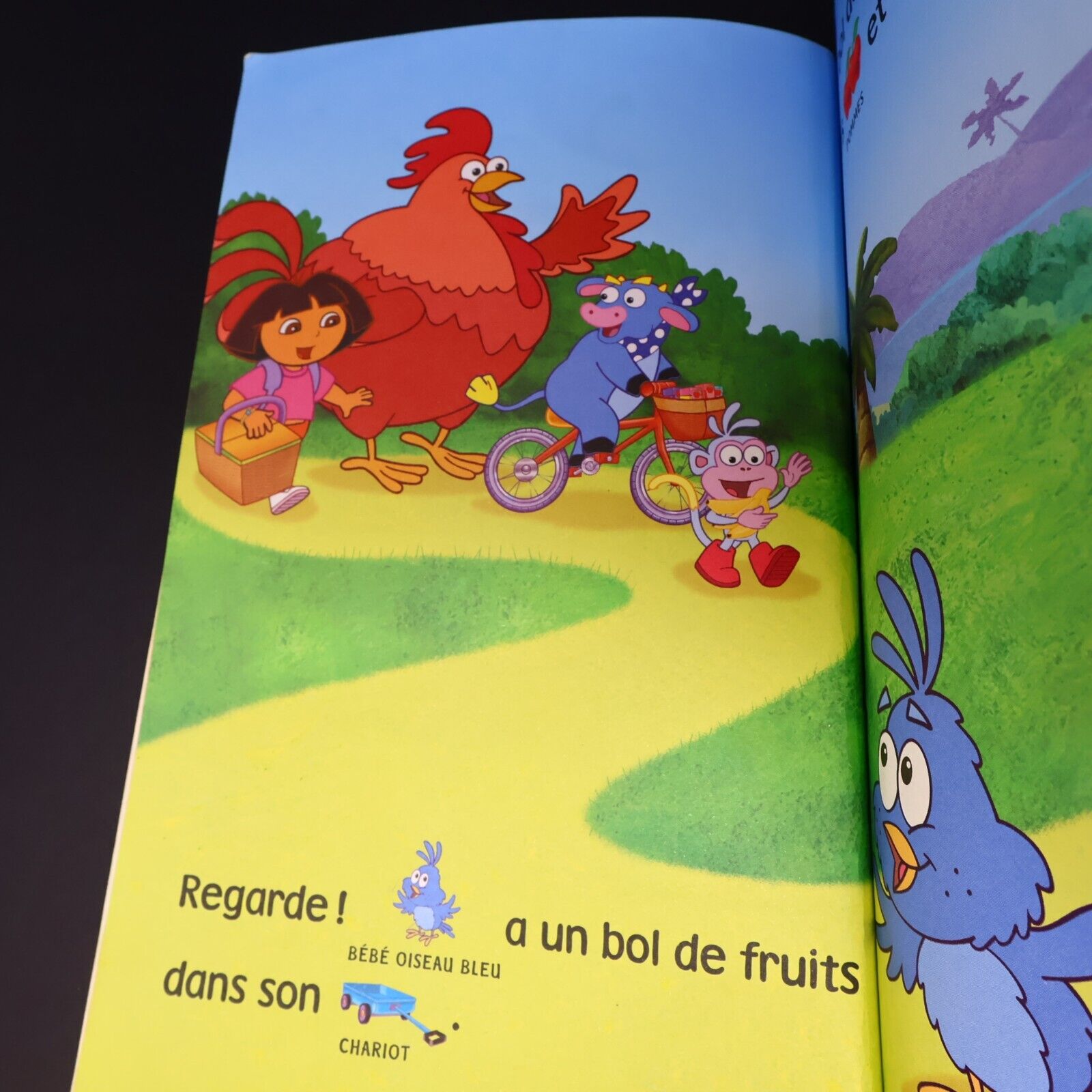 Lot 6 Livres Dora l'Exploratrice Français French Enfants Le Pique-Nique de Dora