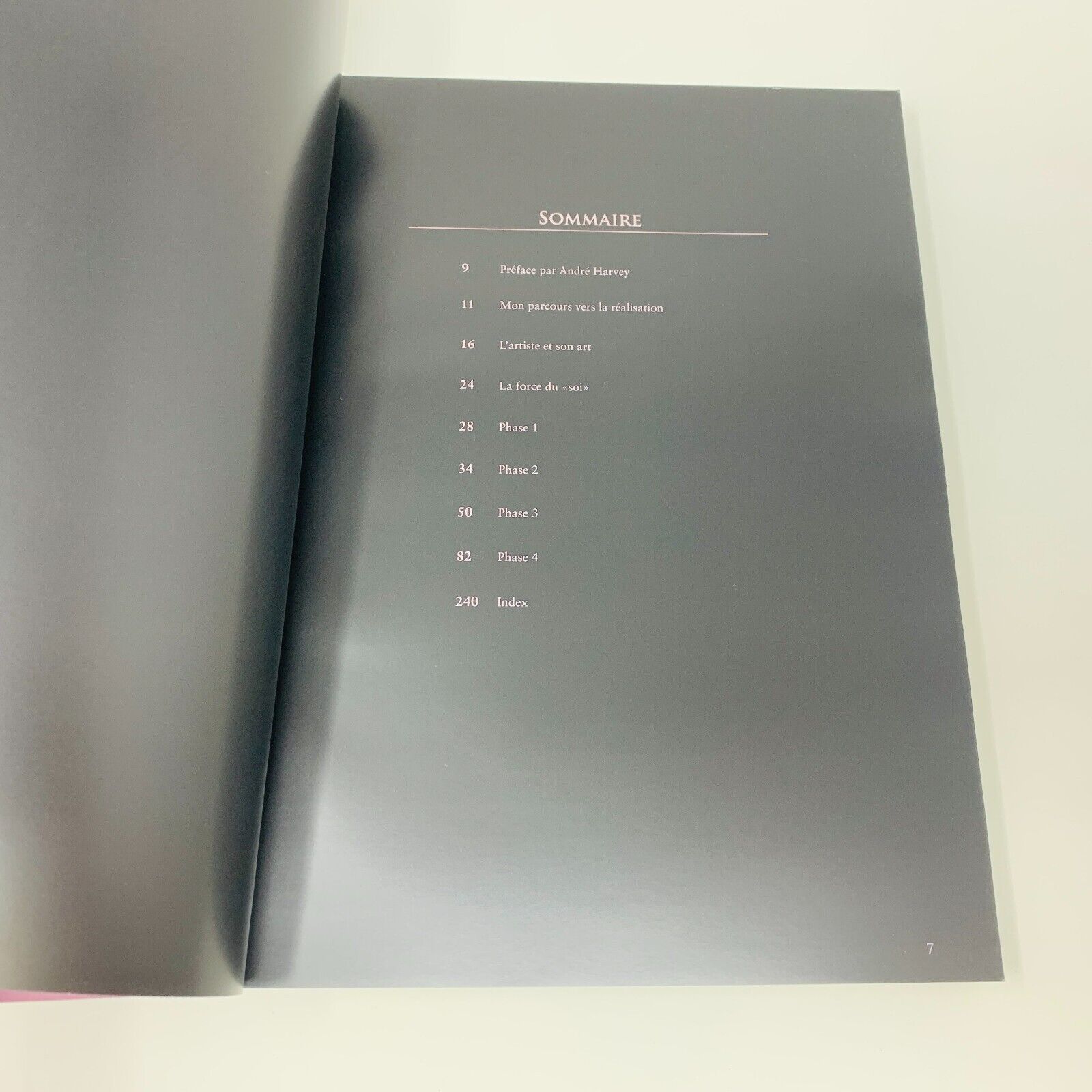 2012 Mario Duguay De l'Ombre à la Lumière Illustrations Peintures Français Livre