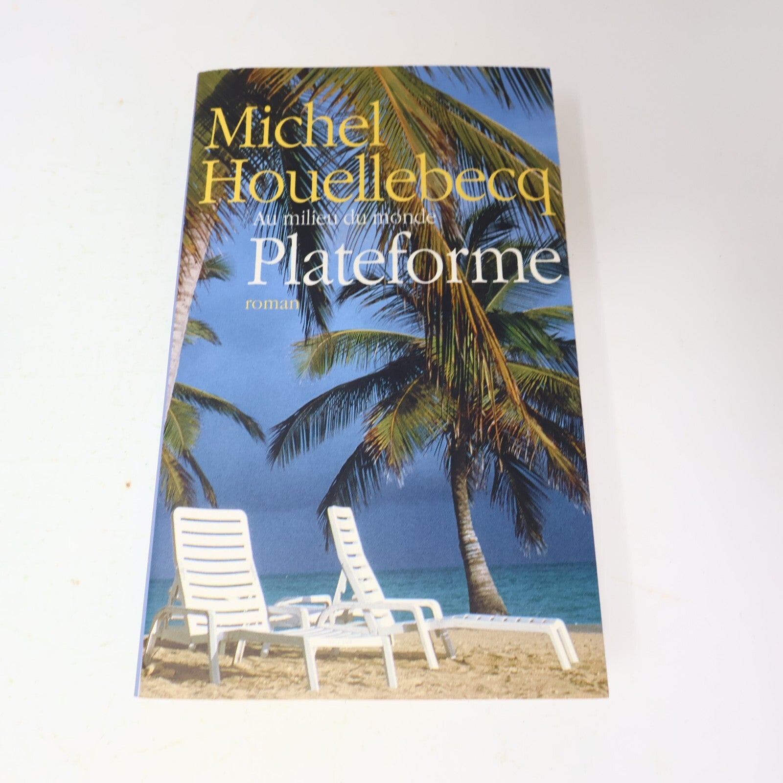 Michel Houellebecq Lot 2 Livres Les Particules Élémentaires/Plateforme Français