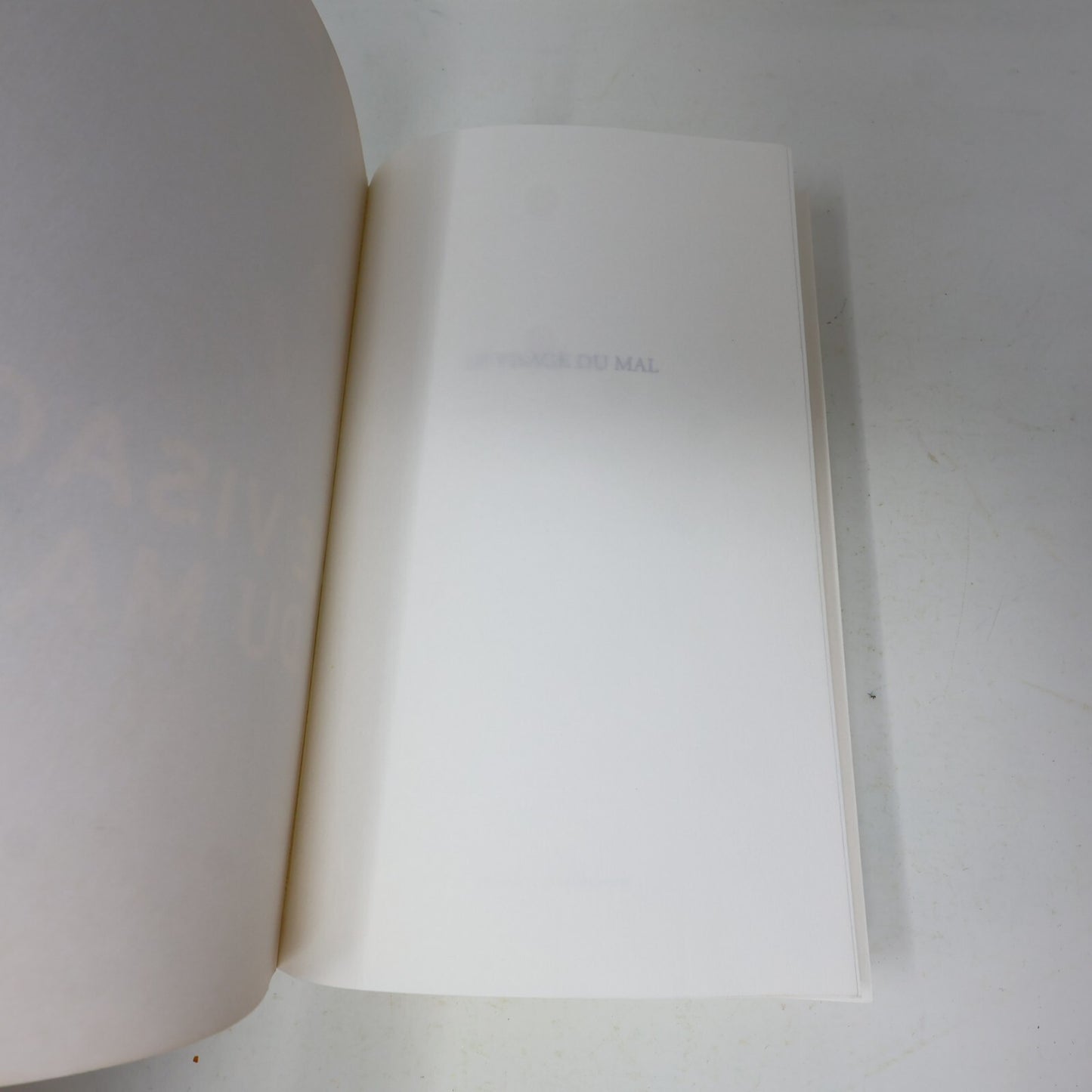 2015 Le Visage du Mal Sarah Hilary Roman Policier Crime 1ère Édition Jc Lattes