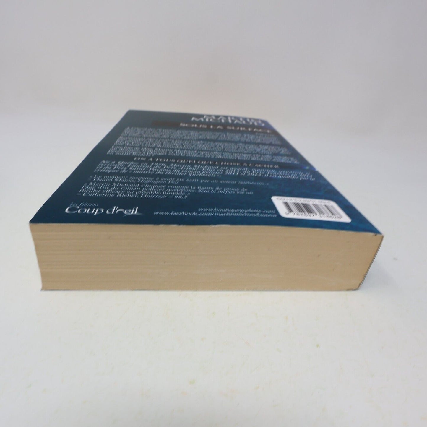 2015 Sous la Surface Martin Michaud Thriller Coup d'Oeil Français Livre 2010s PB