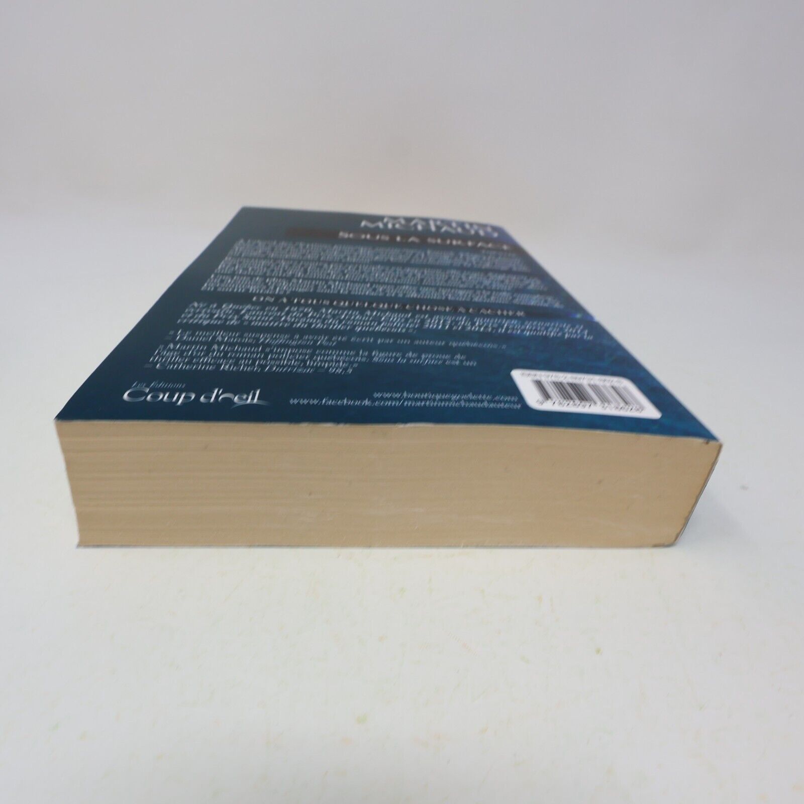 2015 Sous la Surface Martin Michaud Thriller Coup d'Oeil Français Livre 2010s PB