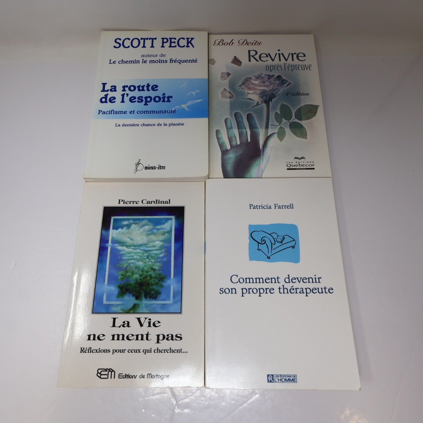 Développement Personnel Santé Mentale Psychologie Lot 10 Livres Français French