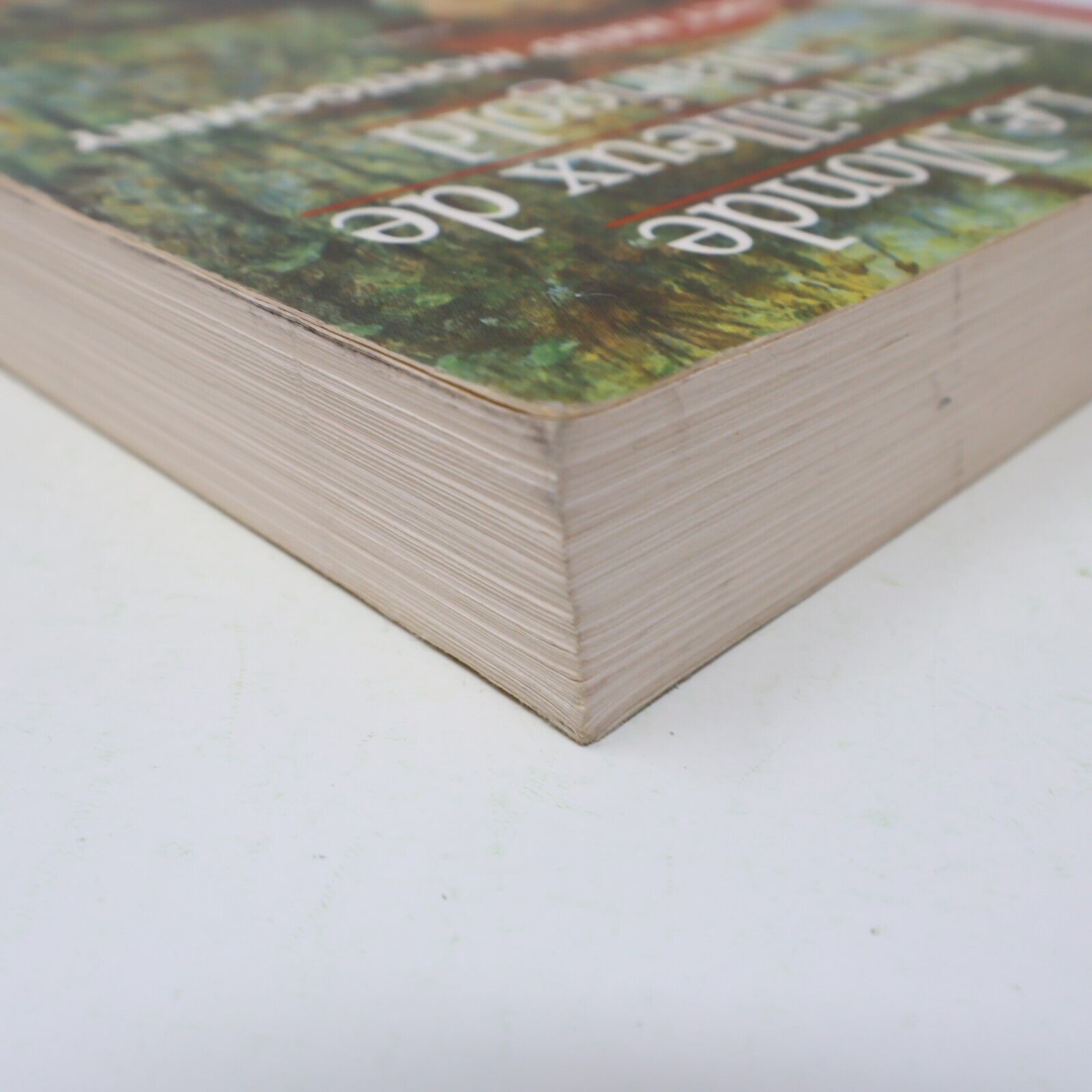 1991 Le Monde Merveilleux de Marigold L Maud Montgomery Maison aux Pignons Verts