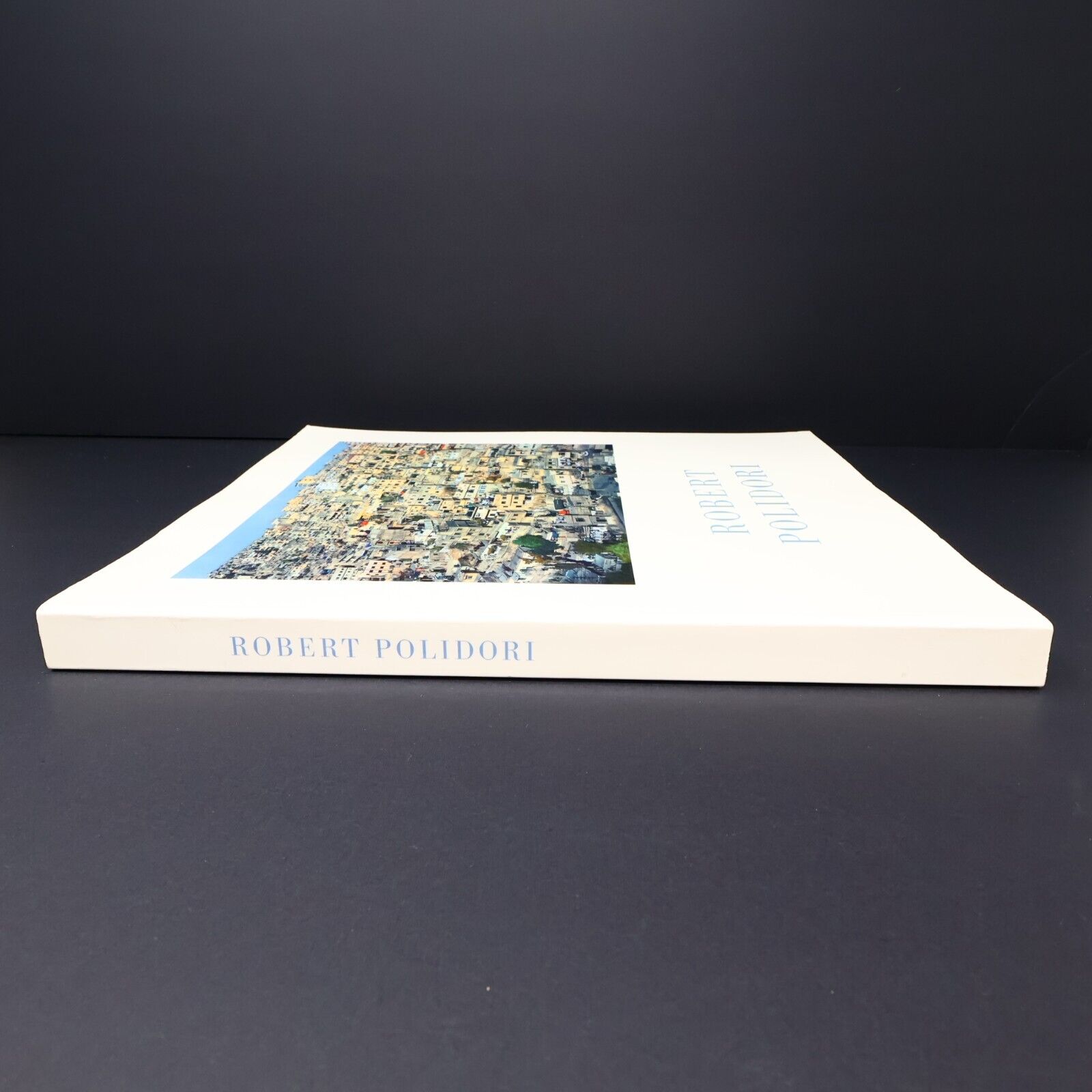 2009 Robert Polidori Musée d'Art Contemporain de Montréal Exhibition Guide PB