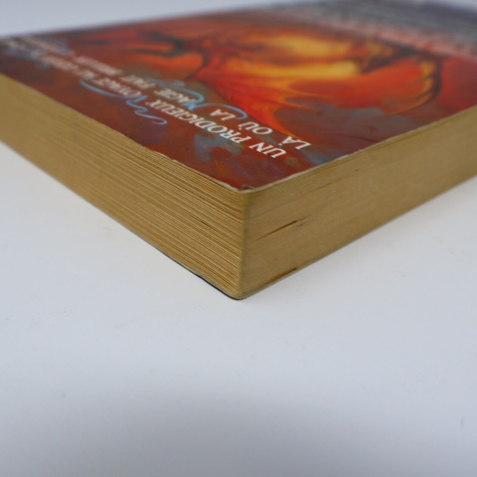 1990 Royaumes Oubliés #5 Terre d'Exil La Trilogie de l'Elfe Noir Fantasy Livre