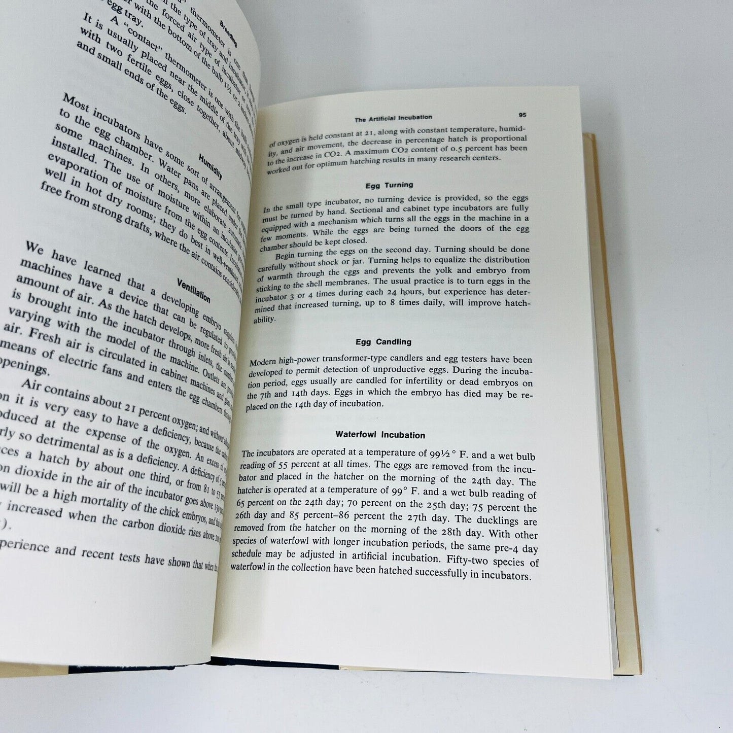 1974 Raising Wild Ducks in Captivity by Dayton O. Hyde Hardcover DJ Dutton IWWA