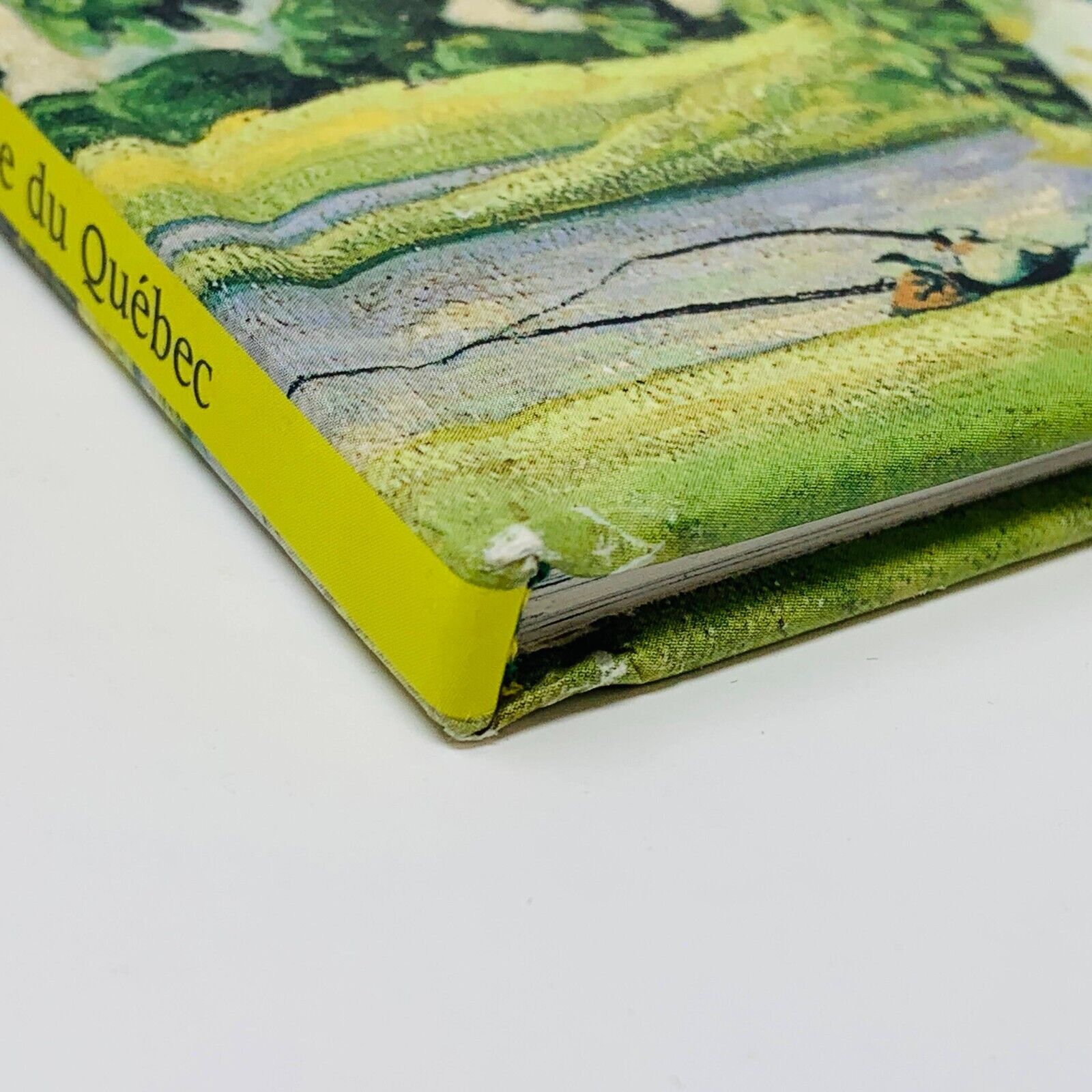 2002 L'Enfant dans les Arbres de Francine Ruel MNBAQ Illustré Marc-Aurèle Fortin