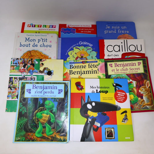 Lot 11 Livres Jeunes Enfants Loup Munsch Caillou Français French Children Bundle