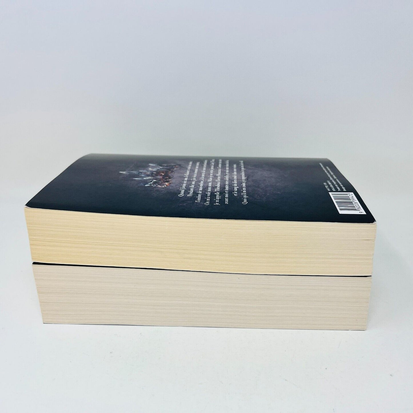Ash Princess/Lady Smoke en Français/in French de Laura Sebastian Wiz Lot Livres