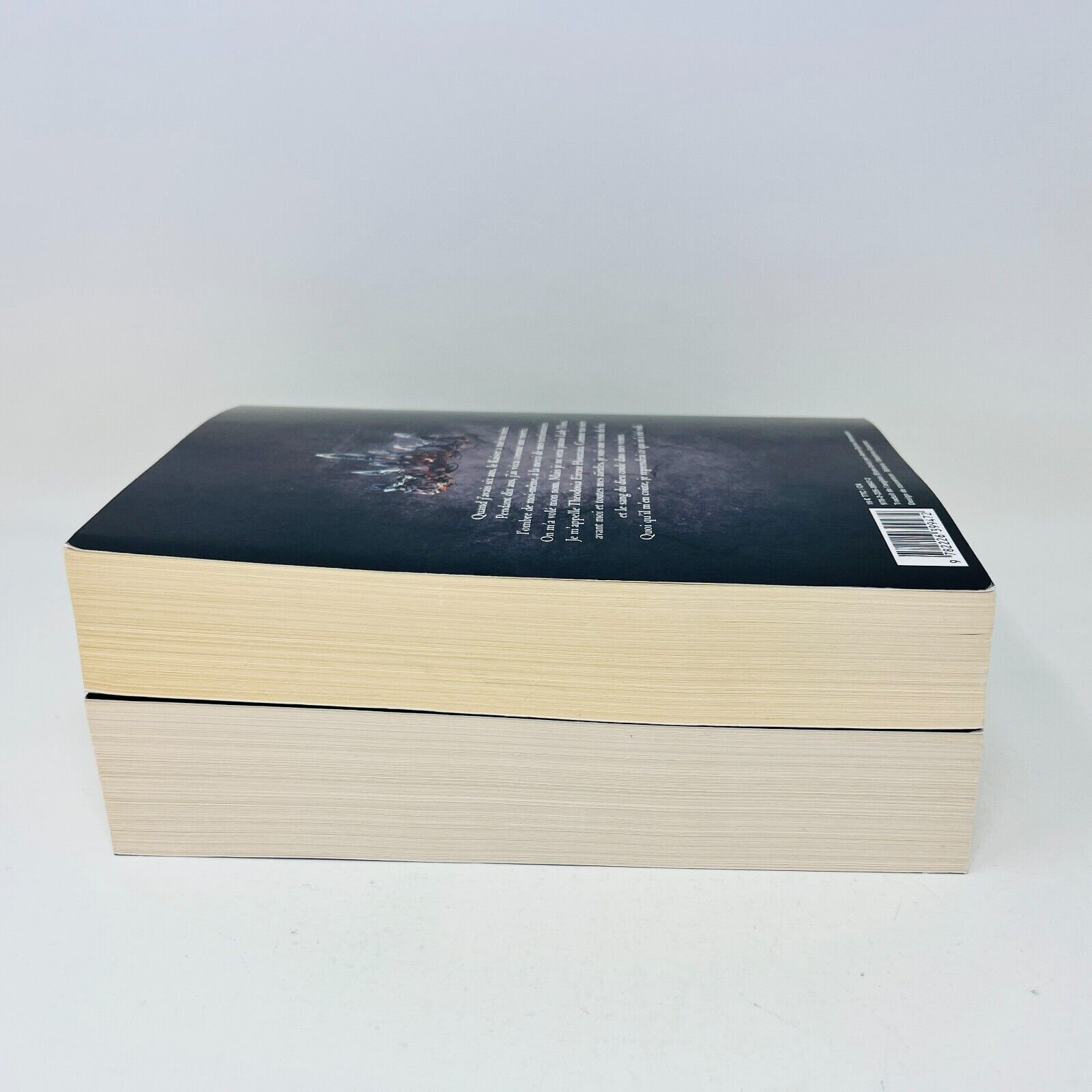 Ash Princess/Lady Smoke en Français/in French de Laura Sebastian Wiz Lot Livres