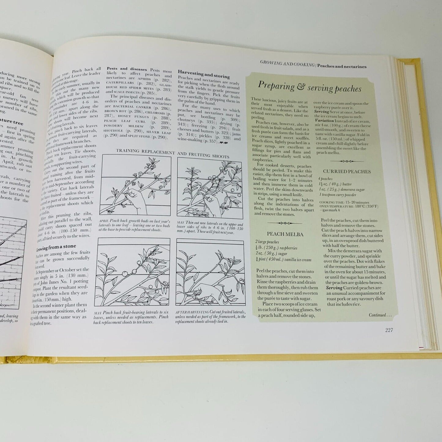 1977 Food From Your Garden Reader's Digest Grow Cook Preserve Fruit & Vegetables