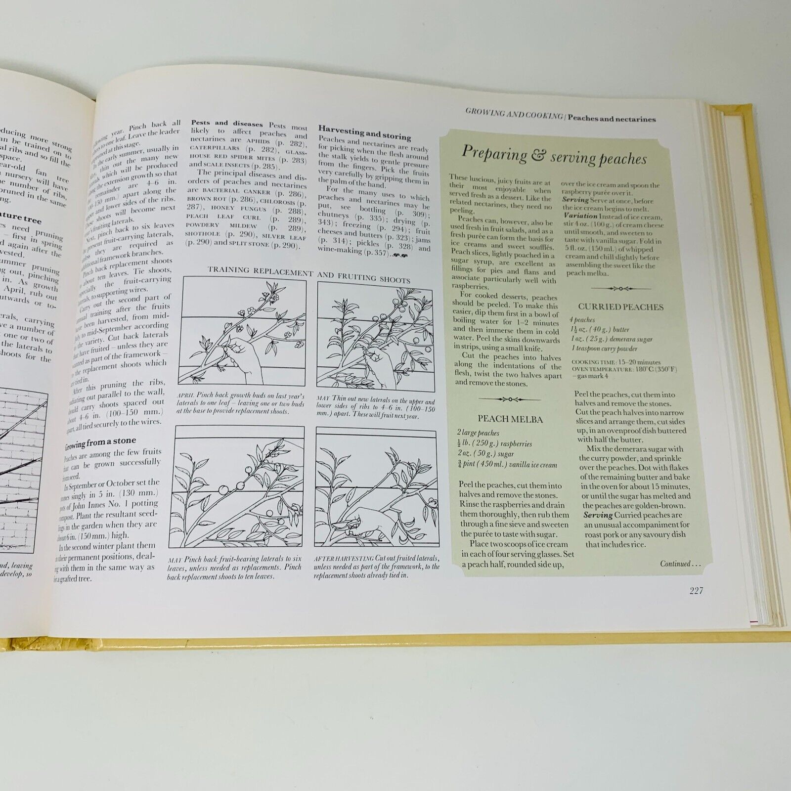 1977 Food From Your Garden Reader's Digest Grow Cook Preserve Fruit & Vegetables