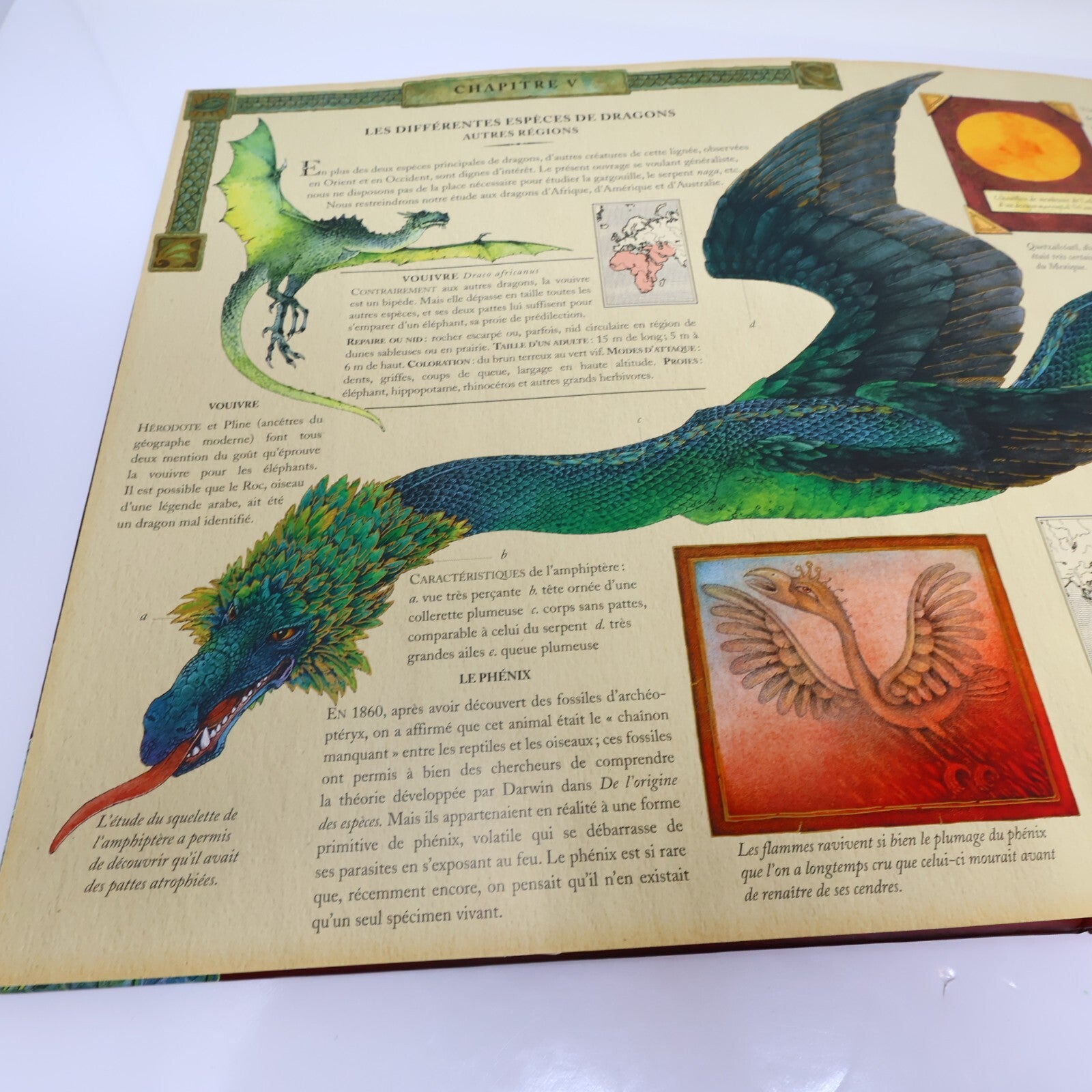 Dr. Ernest Drake Dragonologie Encyclopédie des Dragons Dugald A. Steer Milan HC