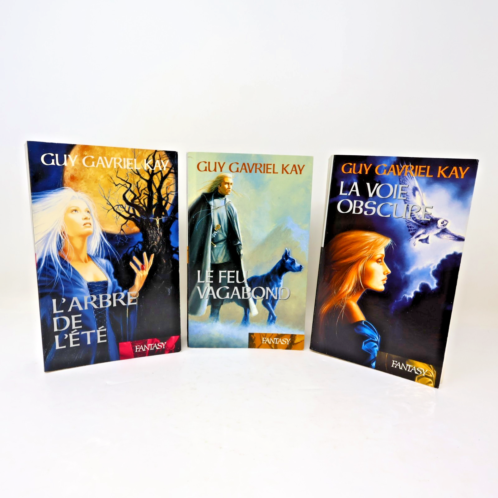 La Tapisserie de Fionavar #1-3 Série Complète Lot 3 Livres Guy Gavriel Kay PB