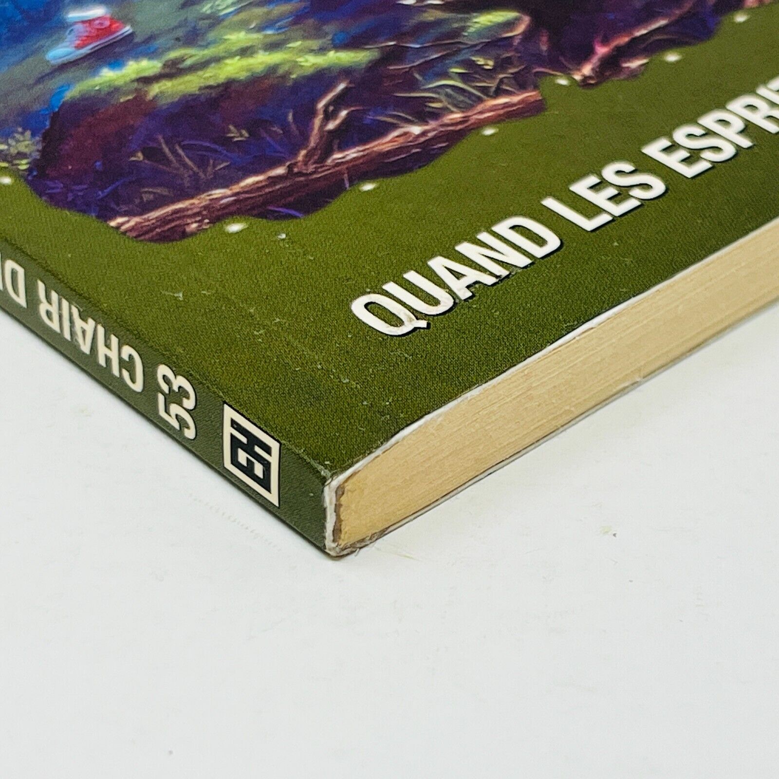 1998 Chair de Poule #53 Quand les Esprits s'en Mêlent! Héritage Français Stine