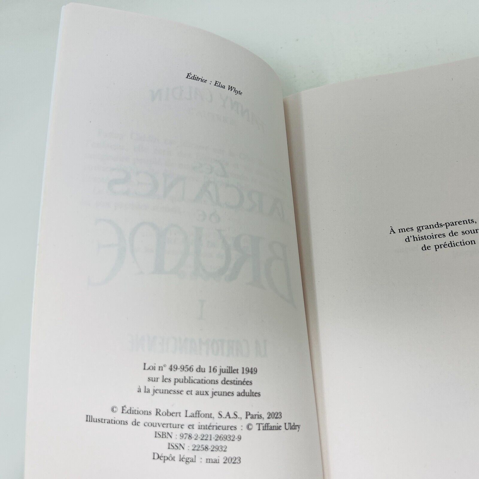 2023 Les Arcanes de Brume Livre 1 La Cartomancienne de Fanny Caldin en Français