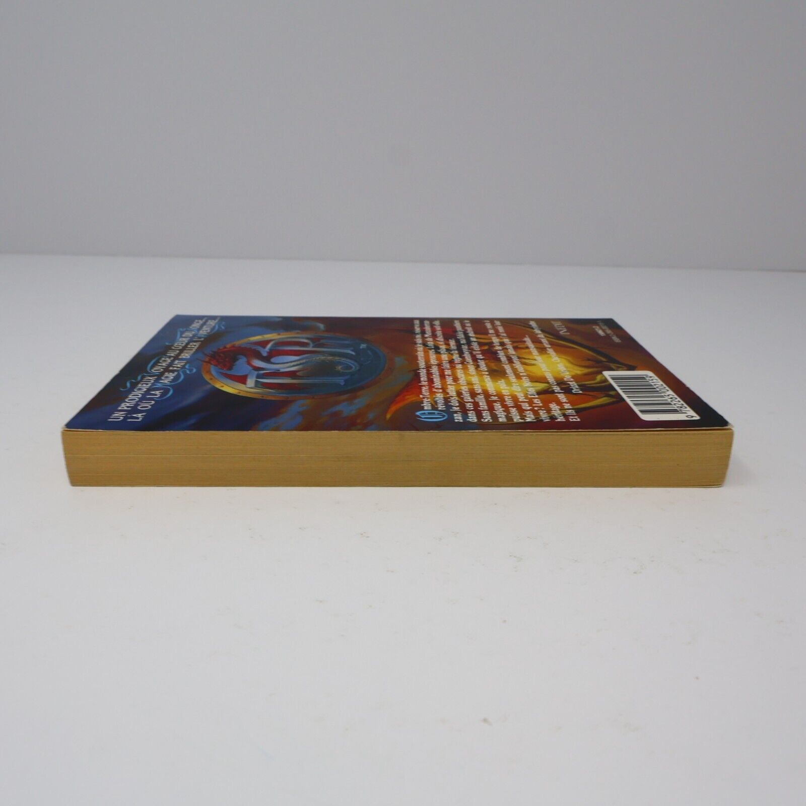 1994 Terre d'Exil Royaumes Oubliés #5 de R. A. Salvatore Forgotten Realms PB 90s