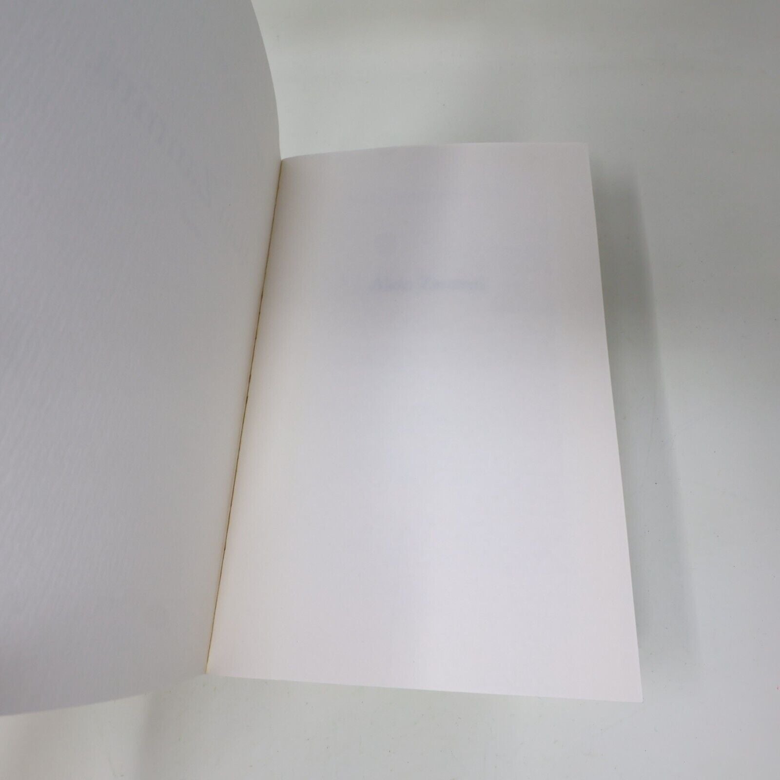 2002 Alain Zannini Marc-Édouard Nabe Du Rocher Français PB Littérature Française