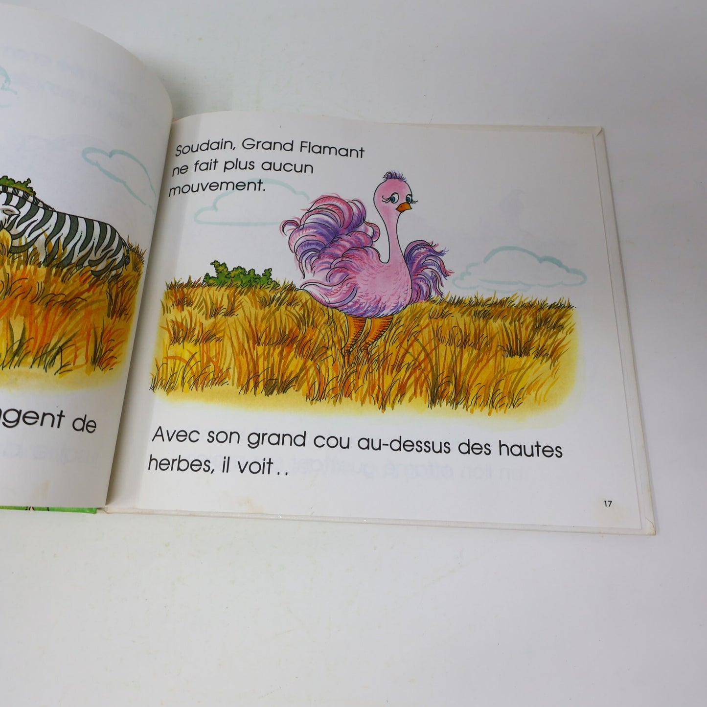 Lot 14 Le Château Magique du Livre Jane Belk Moncure Livres Enfants Français 80s