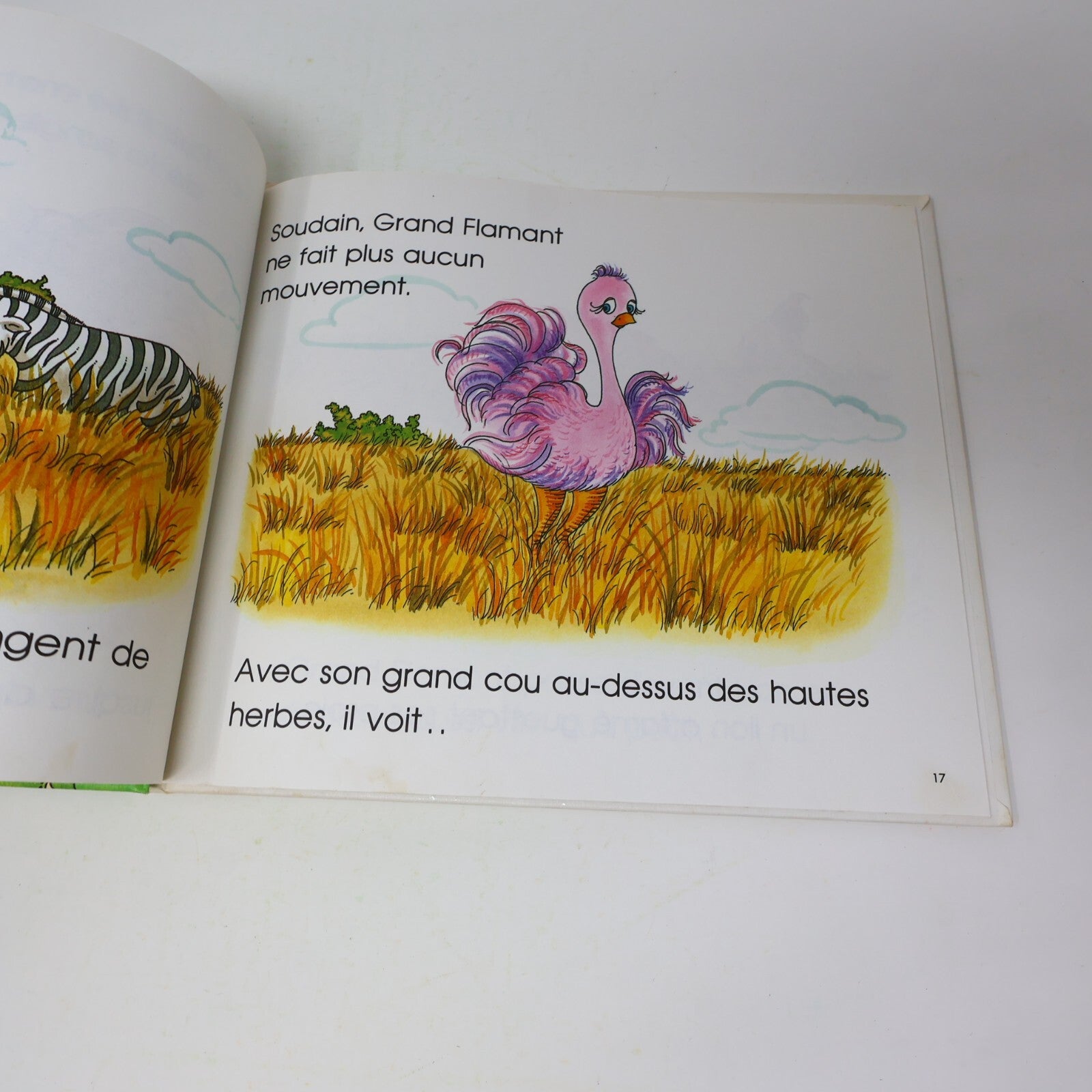 Lot 14 Le Château Magique du Livre Jane Belk Moncure Livres Enfants Français 80s