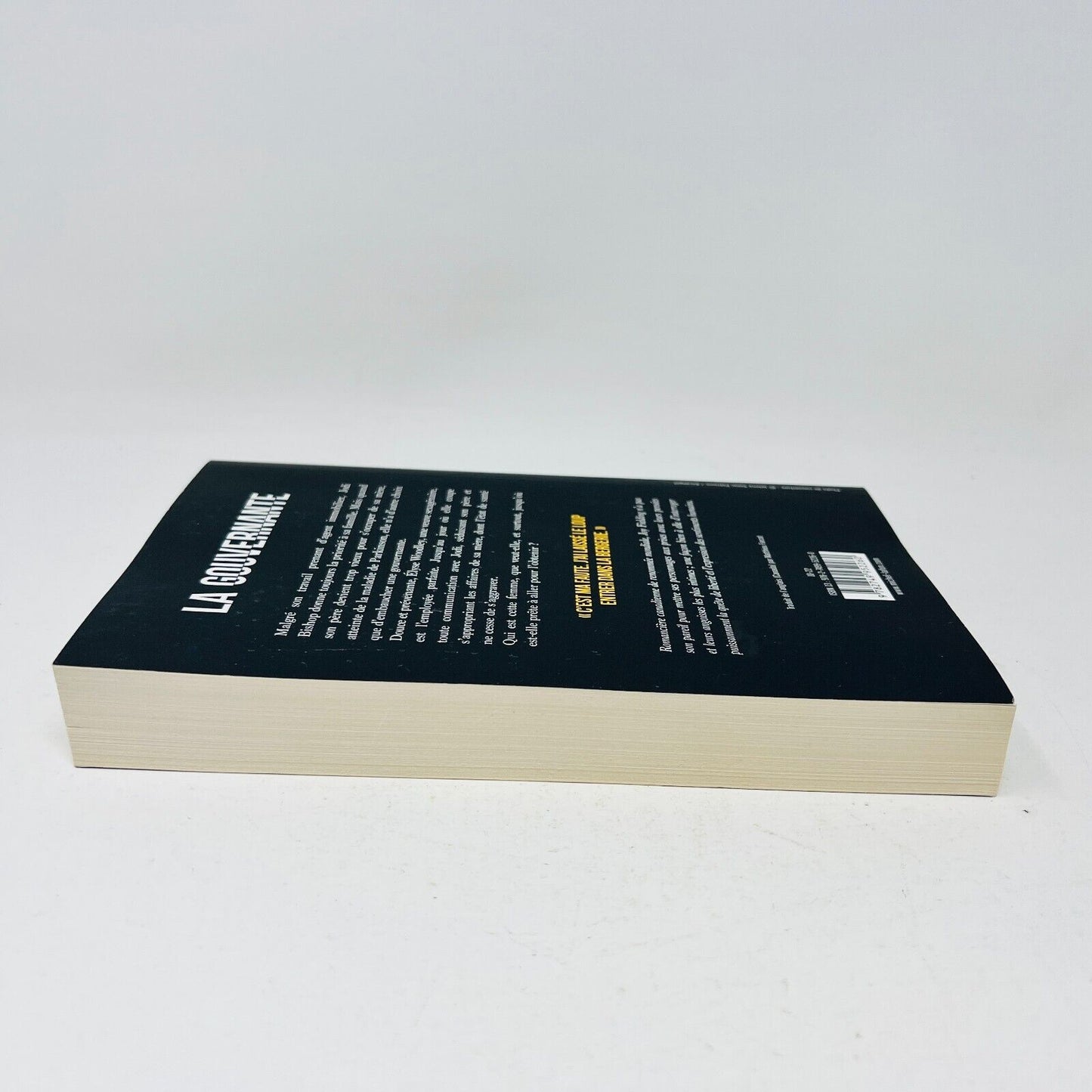 2022 La Gouvernante de Joy Fielding Mystère Thriller Français Livre Michel Lafon