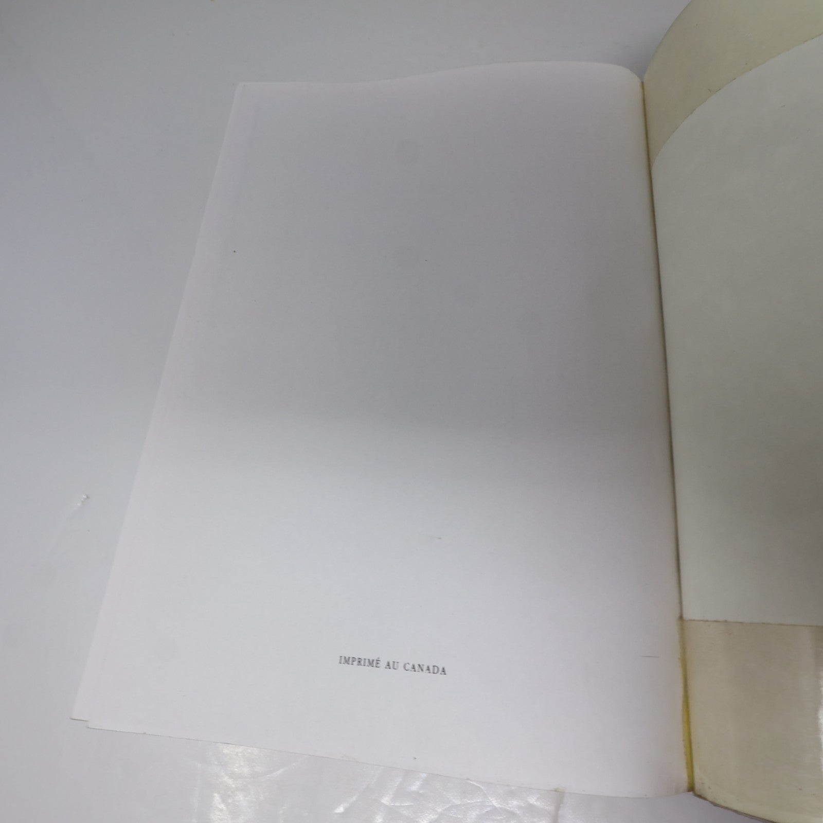 Catéchisme de l'Église Catholique Cecc 1993 PB Français French Religion Livre