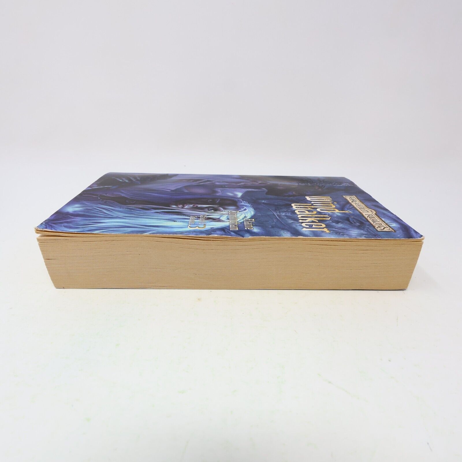 Starlight & Shadows #3 Windwalker Elaine Cunningham Forgotten Realms 2004 WOC PB