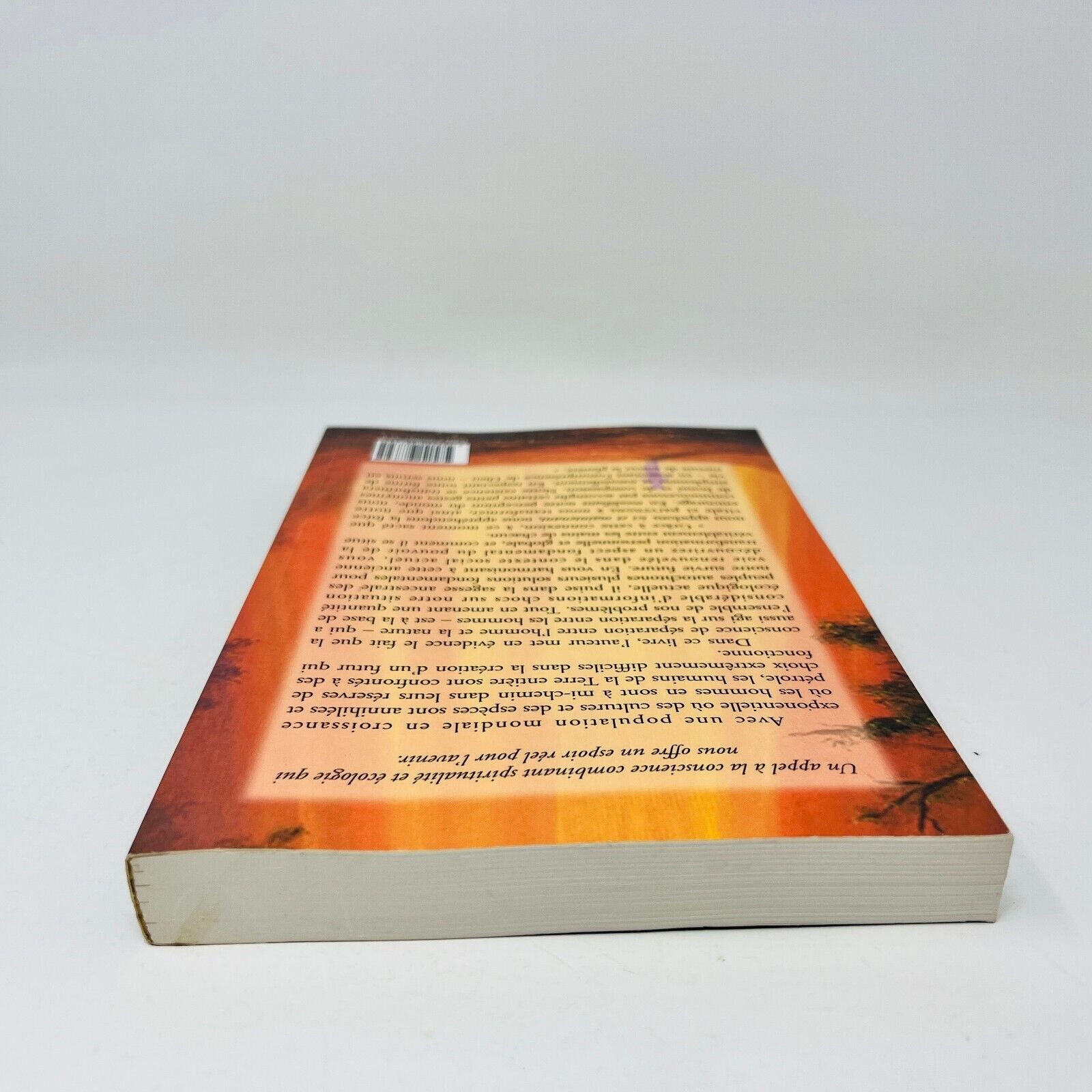 1999 Les Dernières Heures du Soleil Ancestral de Thom Hartmann Français Ariane