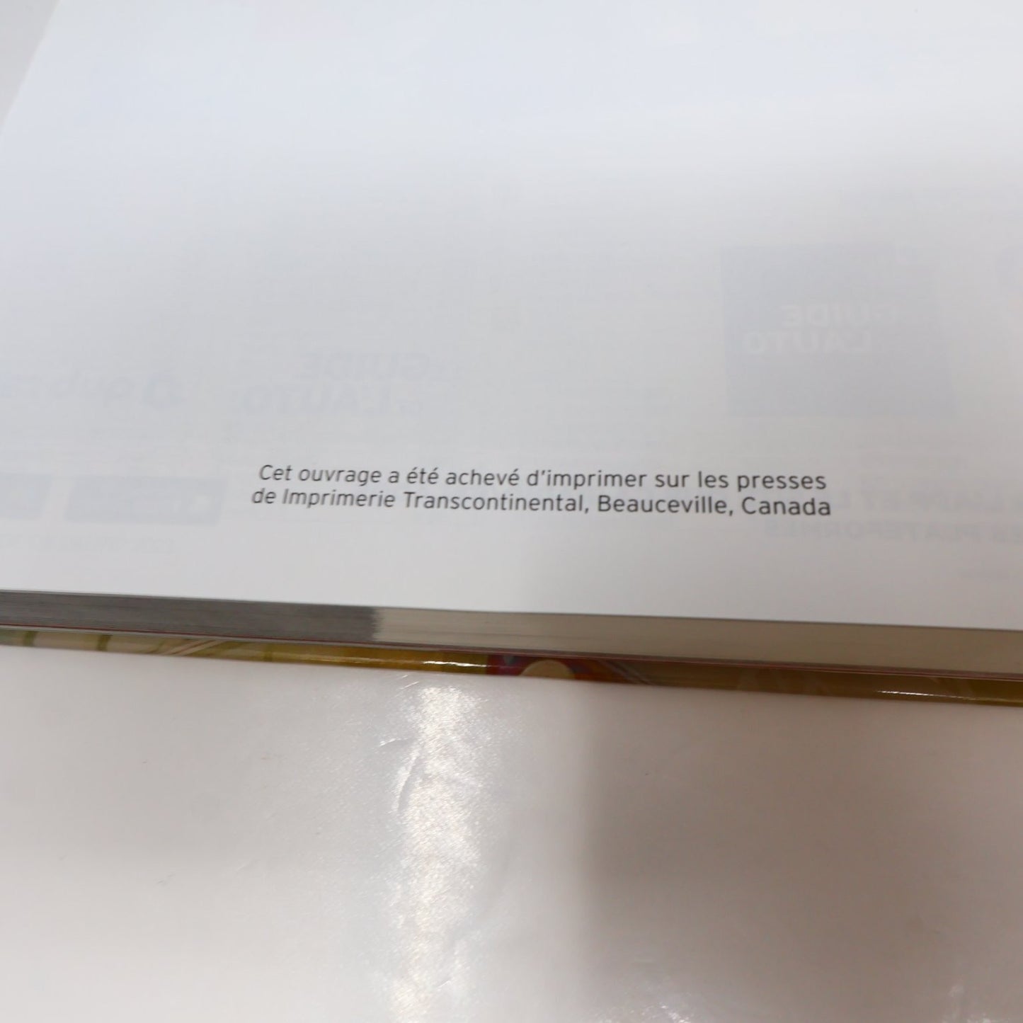 L'Annuel de l'Automobile & Le Guide de L'Auto 2023 Lot 2 Livres Voitures Chars