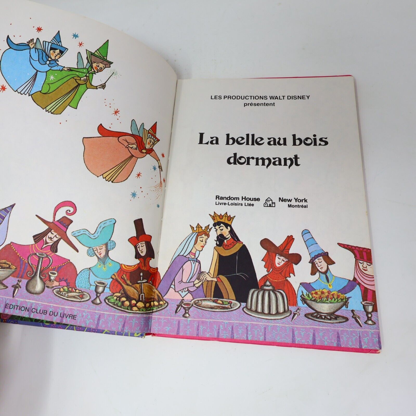 21x Livres Merveilleux de Disney Jeunes Enfants Livre-Loisirs Lot Français HC