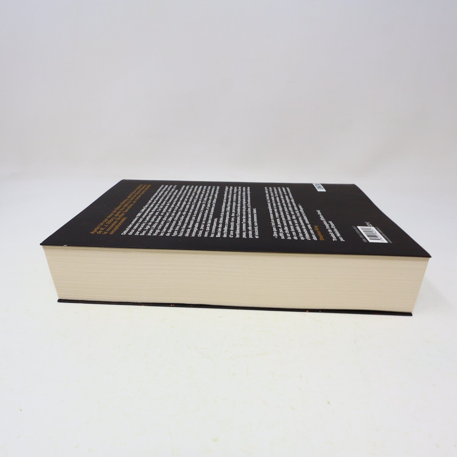 2009 Les Lieux Sombres Gillian Flynn Sonatine Crime et Mystère Policier Thriller