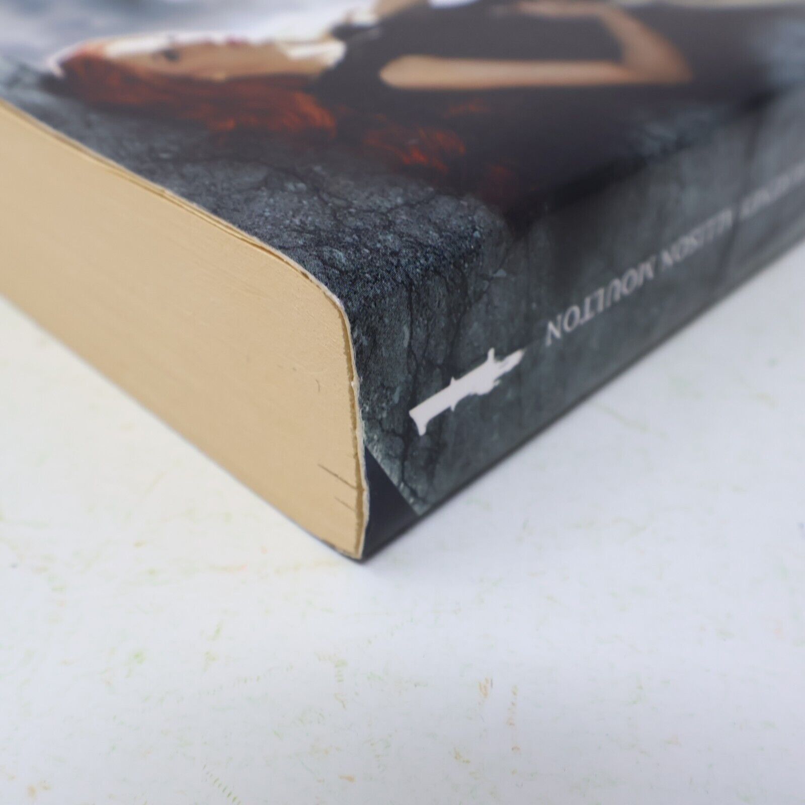 Feu d'Ange #1 Courtney Allison Moulton 2013 Ada Français Paperback Fantasy Livre
